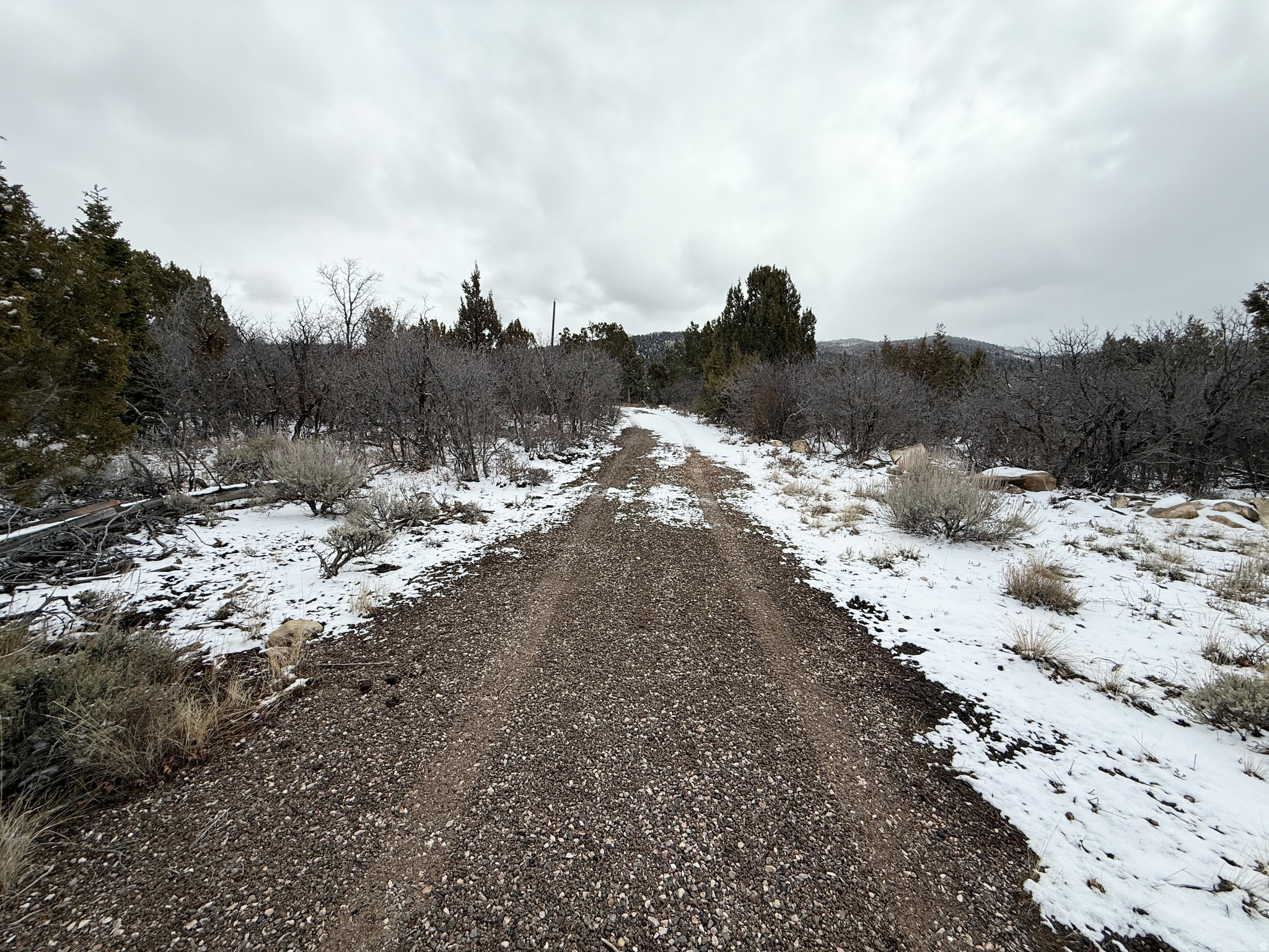 WHISPERING PINES III - Land