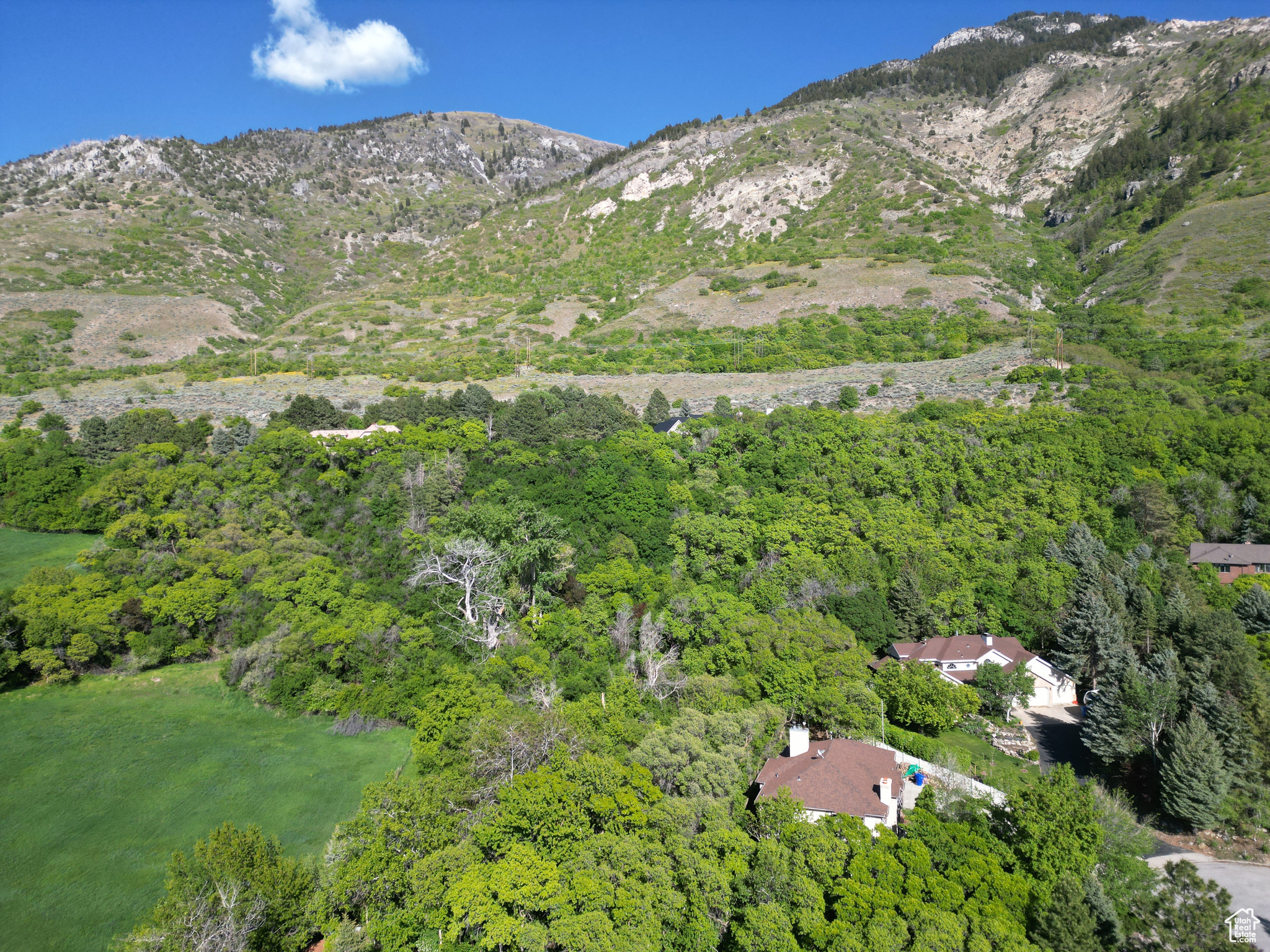 CARRIAGE HILL ESTATES - Residential