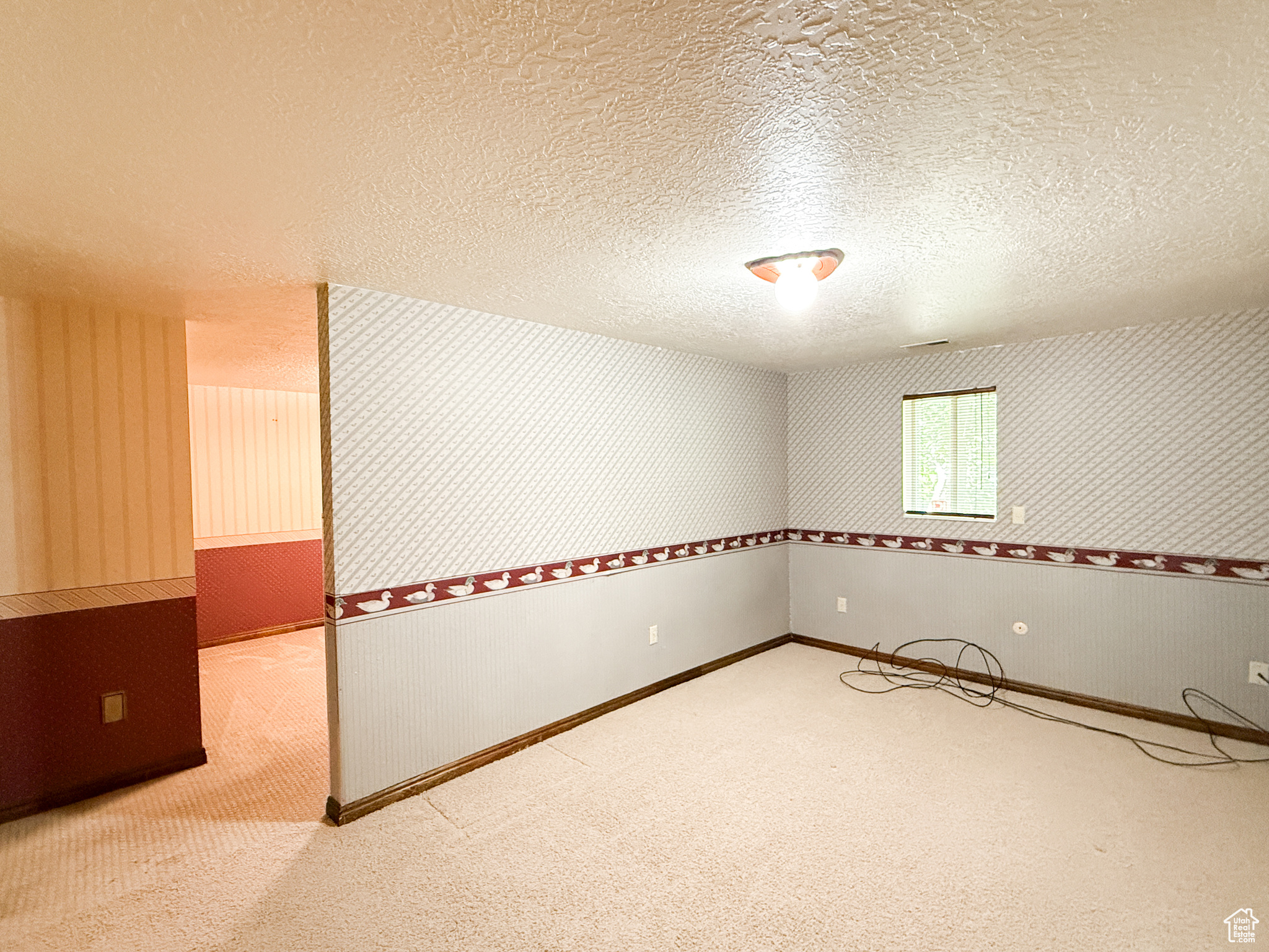 CARRIAGE HILL ESTATES - Residential