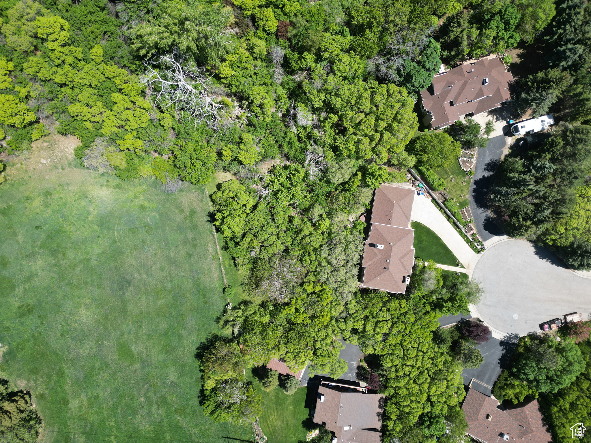 CARRIAGE HILL ESTATES - Residential