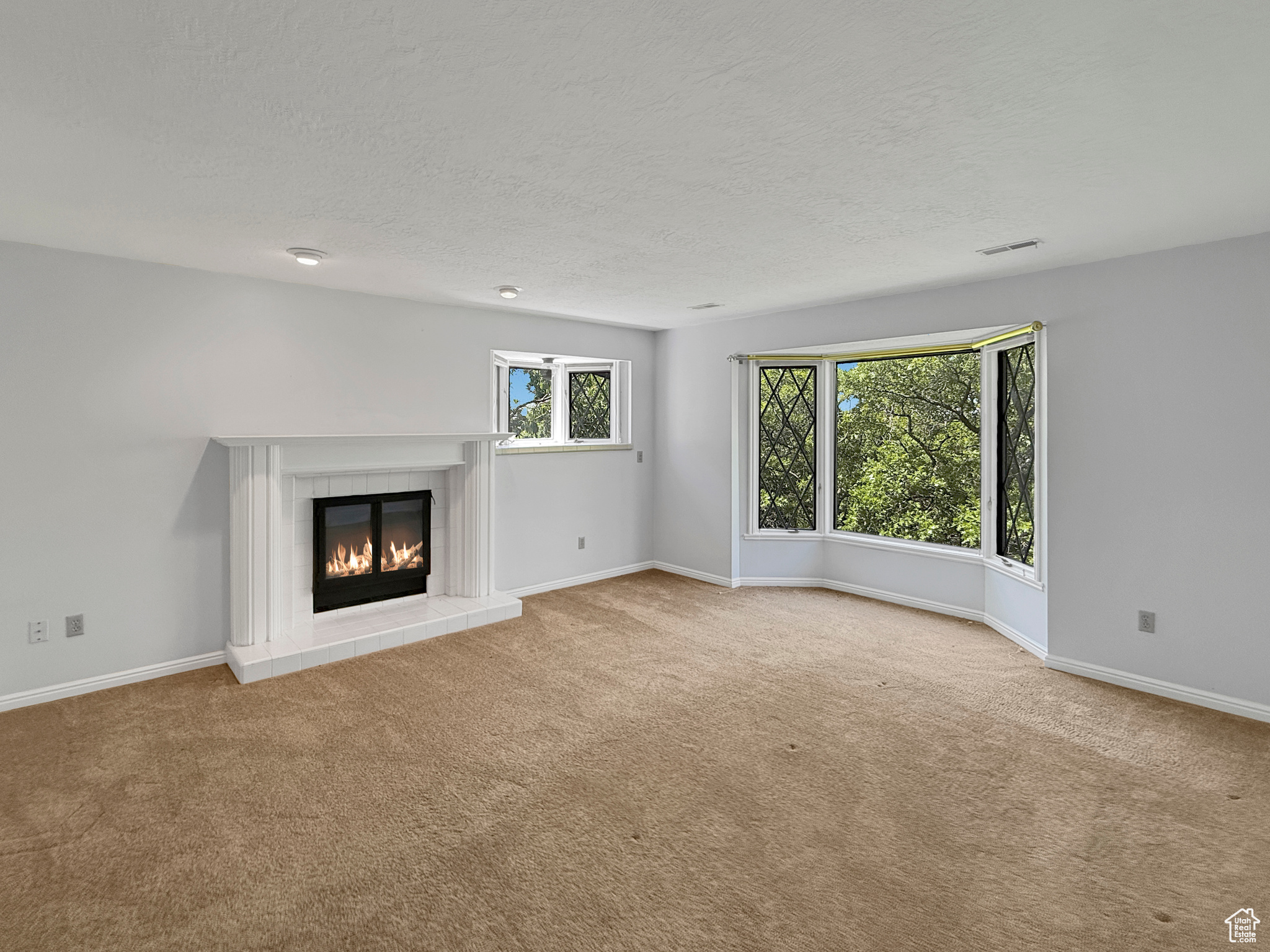 CARRIAGE HILL ESTATES - Residential