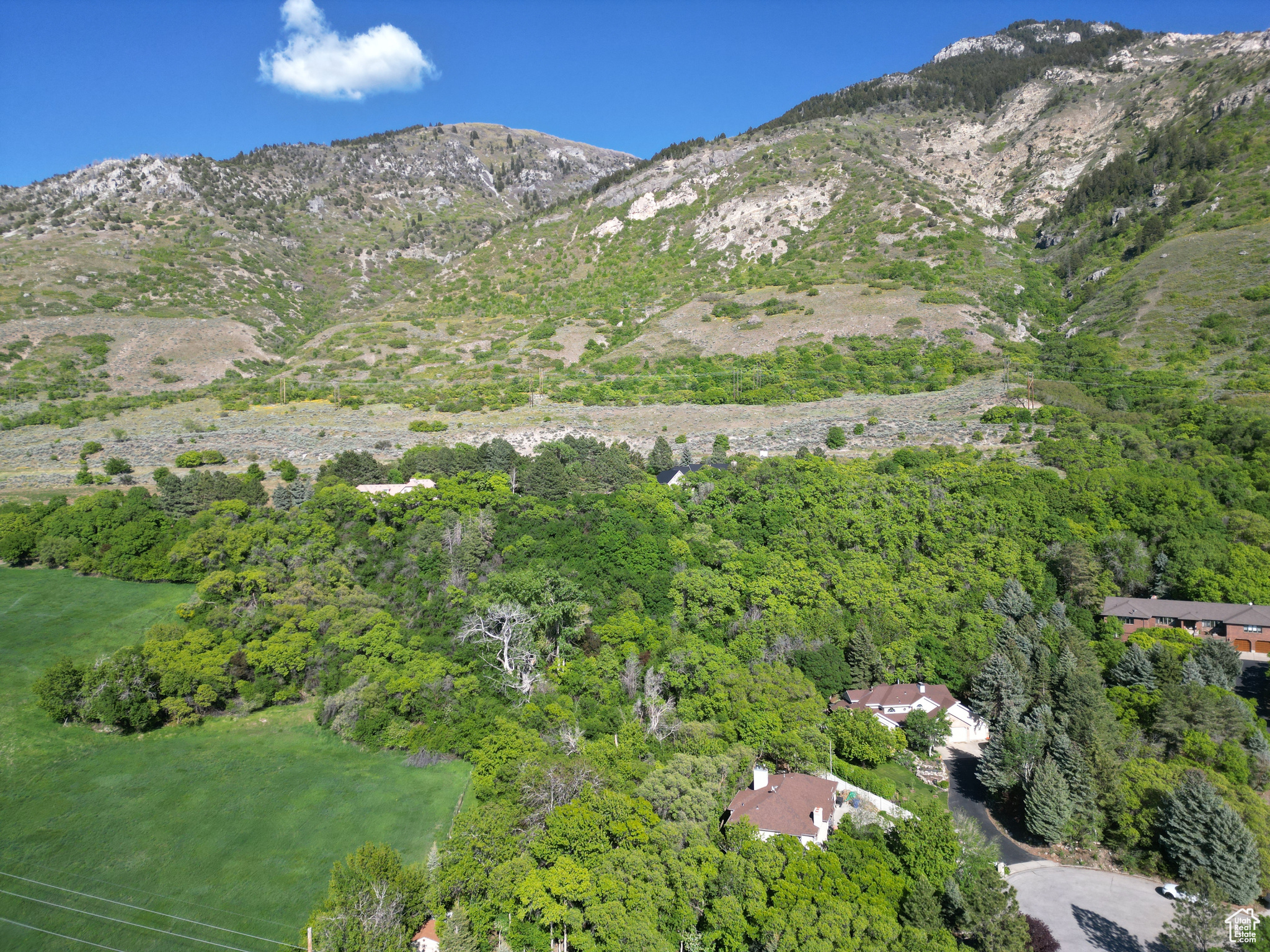 CARRIAGE HILL ESTATES - Residential
