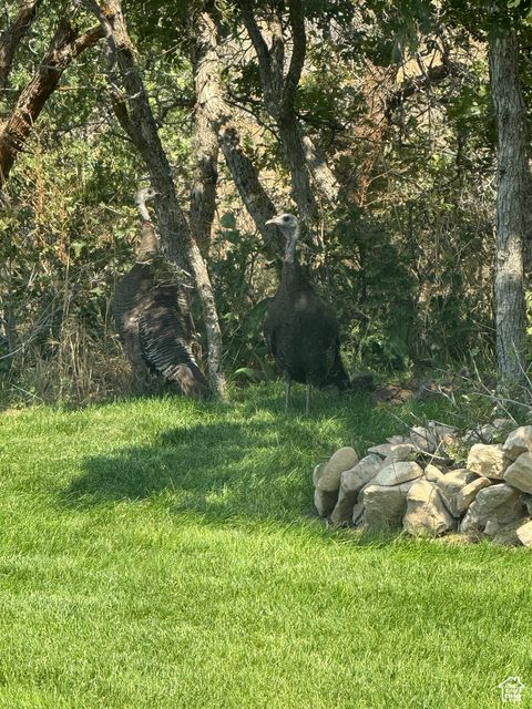 Tiny photo for 1244 N WASHOUGAL, Elk Ridge, UT 84651 (MLS # 2059099)