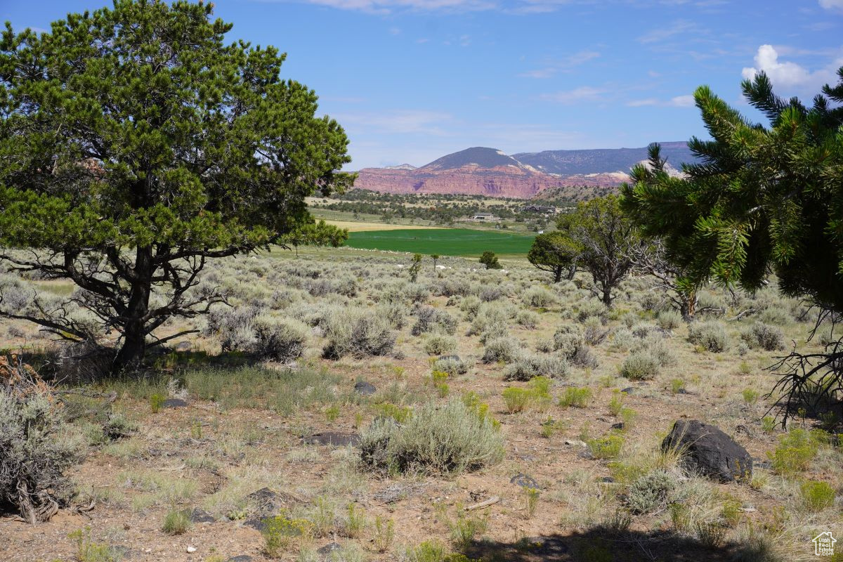 1205 S Donkey Flats Rd, Teasdale, Utah image 1