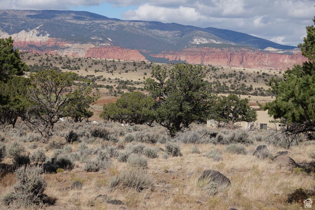 1205 S Donkey Flats Rd, Teasdale, Utah image 1