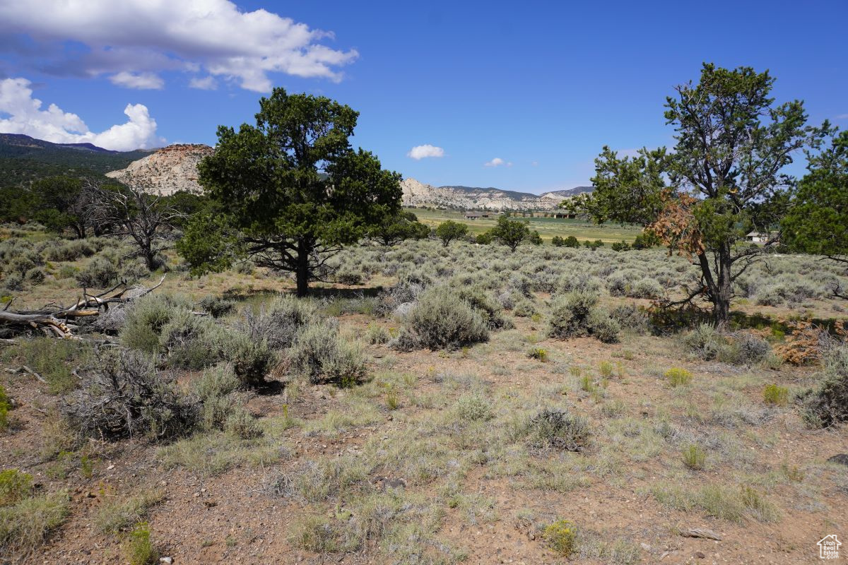 1205 S Donkey Flats Rd, Teasdale, Utah image 3