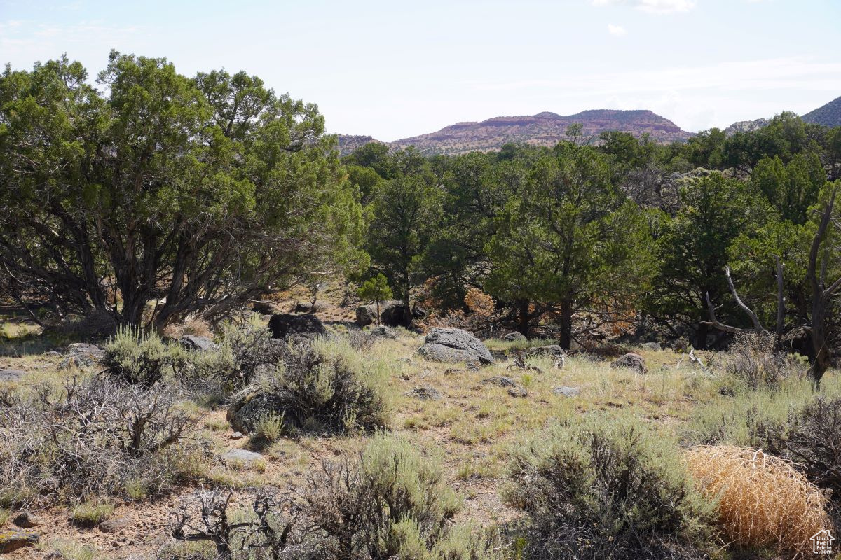 1205 S Donkey Flats Rd, Teasdale, Utah image 7