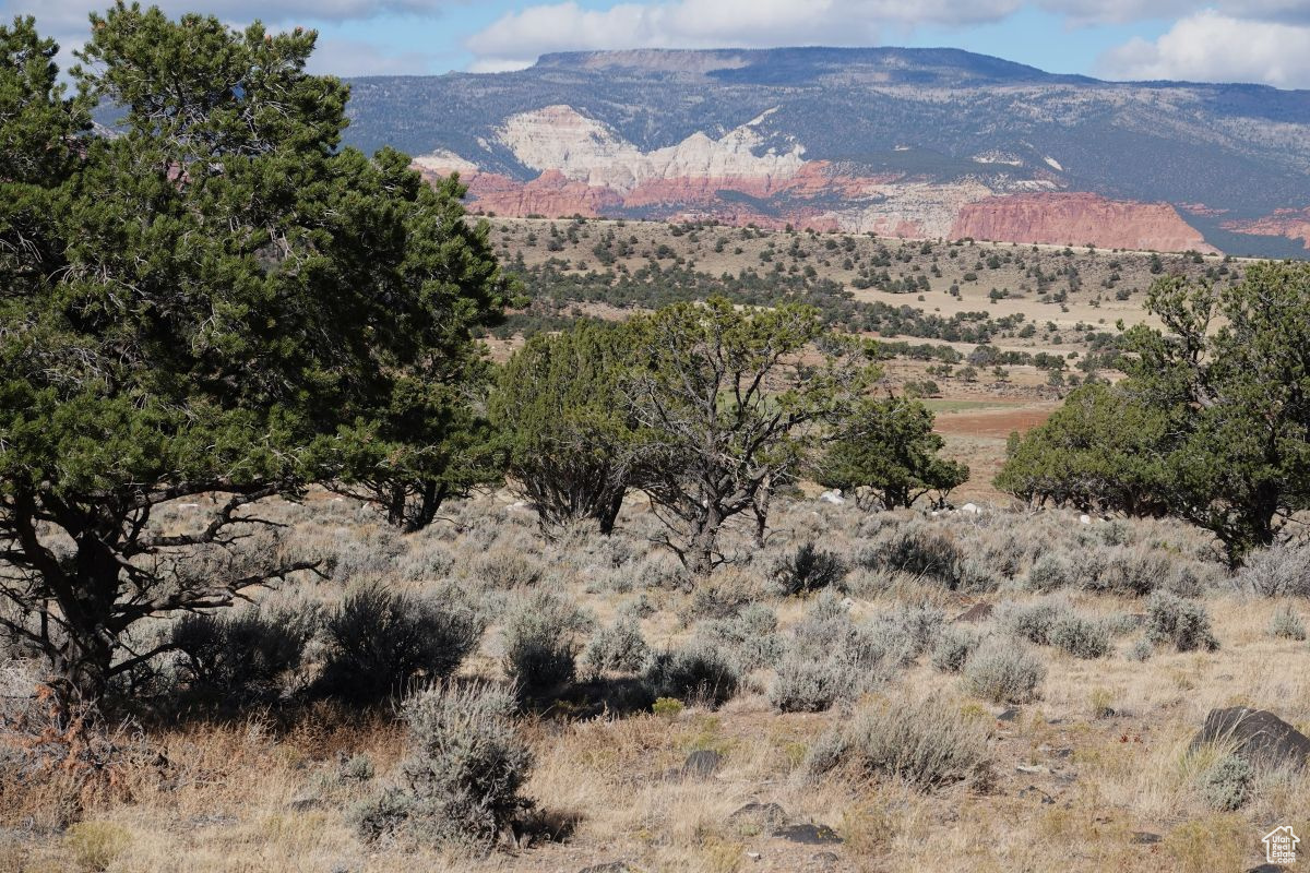 1205 S Donkey Flats Rd, Teasdale, Utah image 21