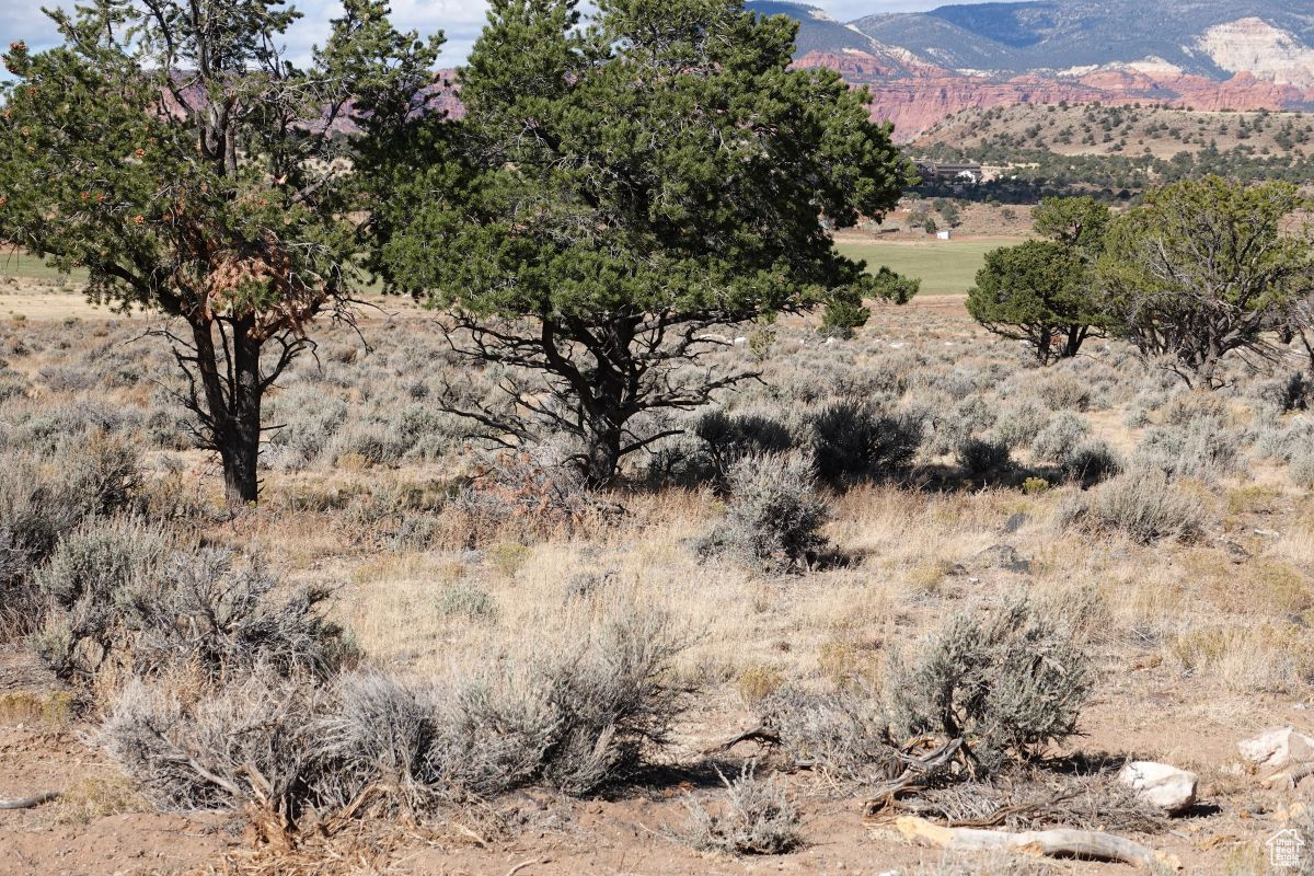 1205 S Donkey Flats Rd, Teasdale, Utah image 7