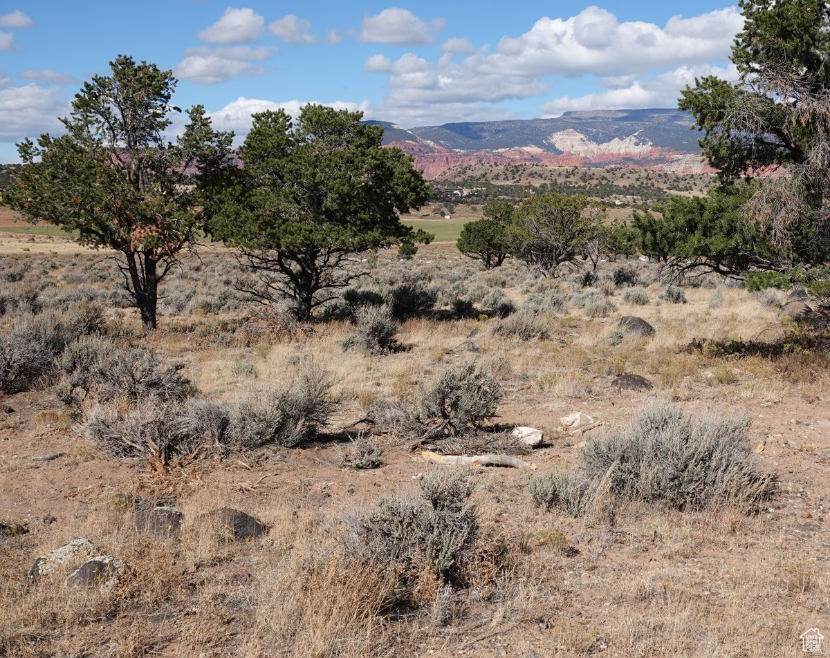 1205 S Donkey Flats Rd, Teasdale, Utah image 3