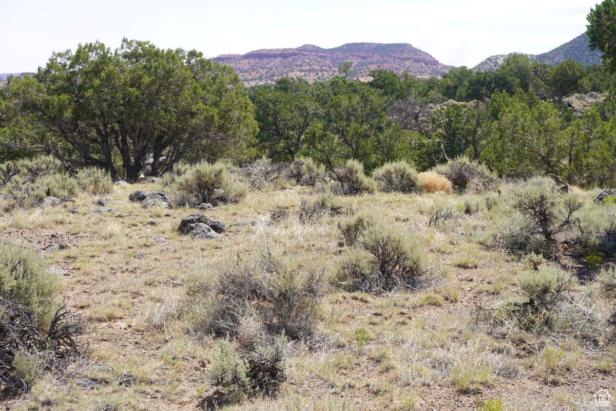 1205 S Donkey Flats Rd, Teasdale, Utah image 18