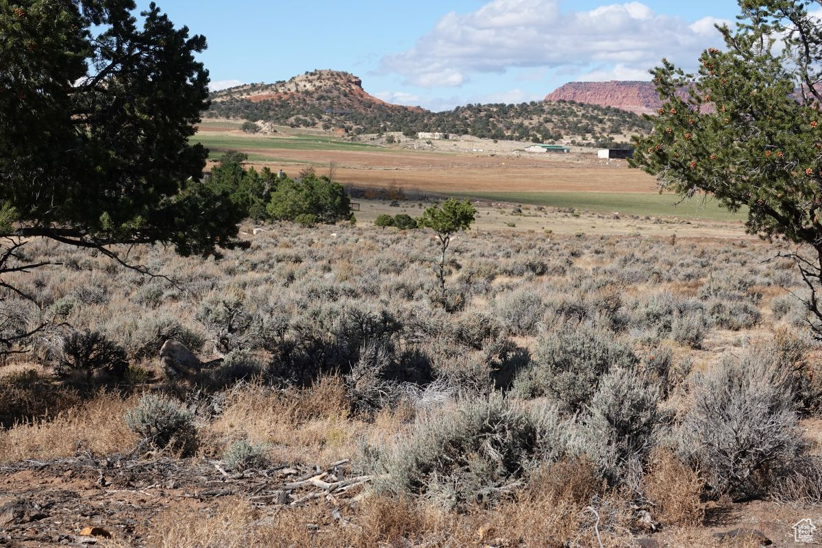 1205 S Donkey Flats Rd, Teasdale, Utah image 22