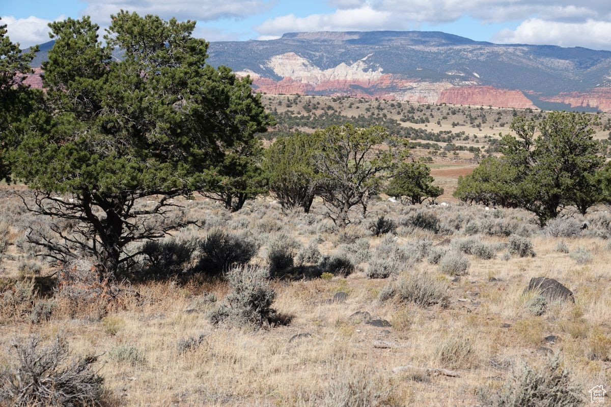 1205 S Donkey Flats Rd, Teasdale, Utah image 12