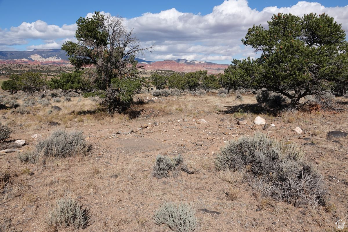 1205 S Donkey Flats Rd, Teasdale, Utah image 17