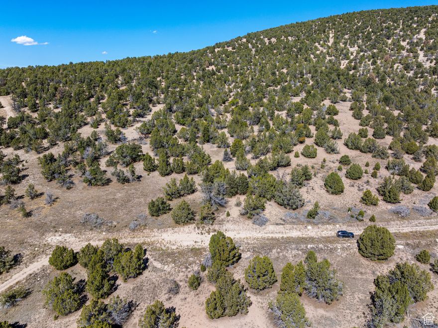 Build your dream home, cabin, or short-term rental on this beautiful 1-acre forested lot in Blackhawk Mountain Estates. Access to 1.2M acres of forest land.  Swimming lake & Beach Club under construction.  Community trails.  New and upscale mountain community with quick highway access.  Road paving under construction from Highway in.  Live. Play. Escape. Information provided is deemed reliable, but should be independently verified by any interested party.