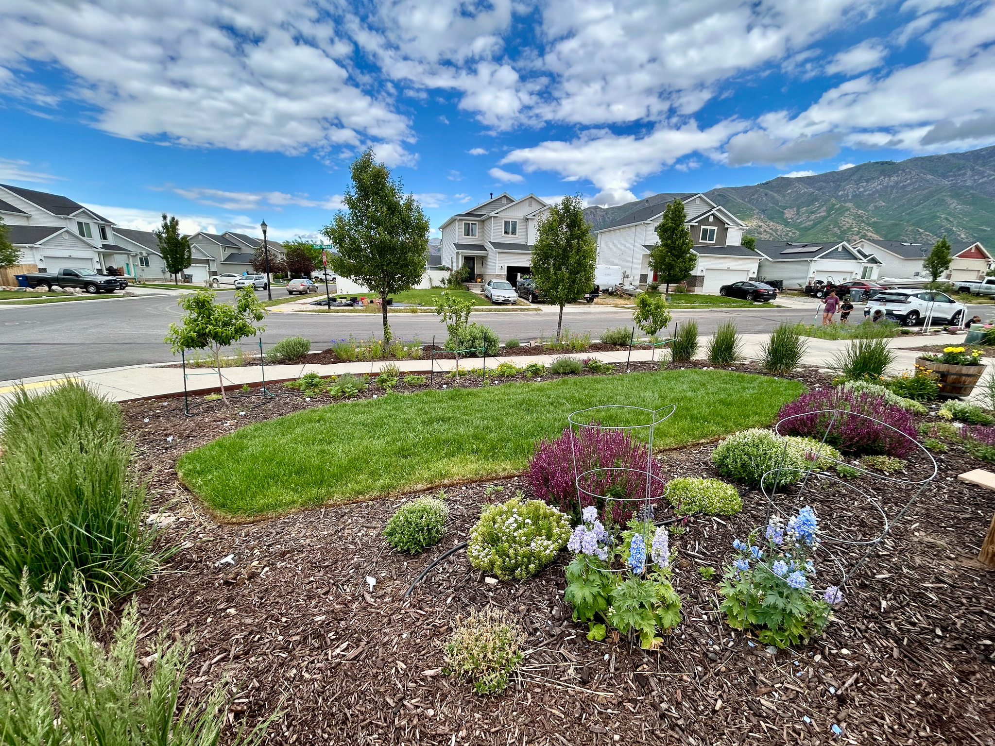 THE ORCHARDS - Residential