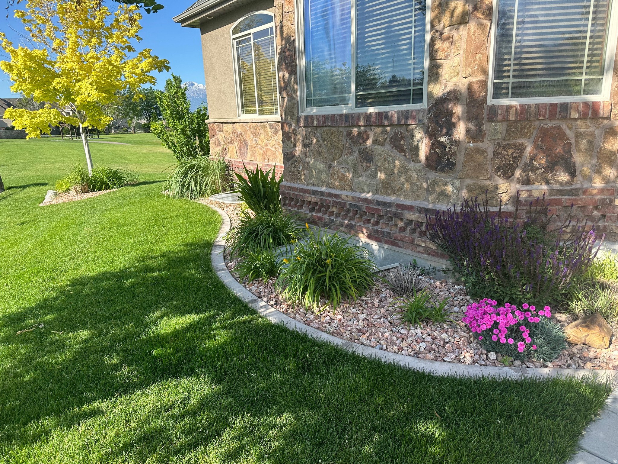 SARATOGA SPRINGS NO7 PUD - Residential