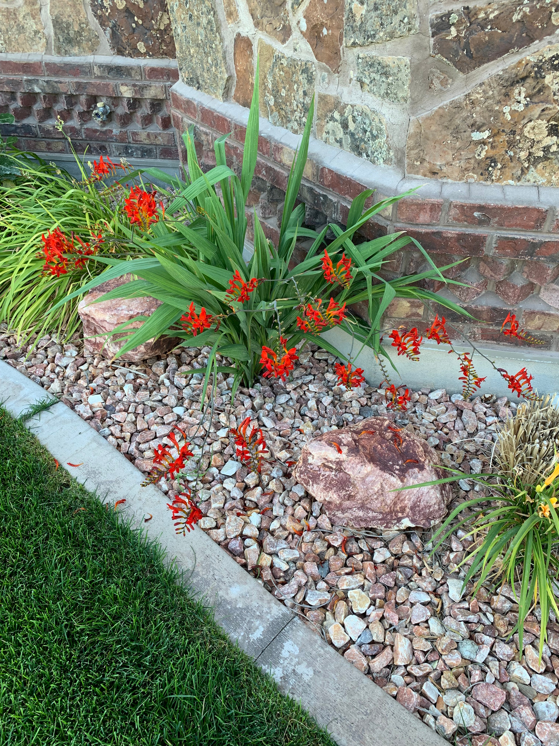 SARATOGA SPRINGS NO7 PUD - Residential