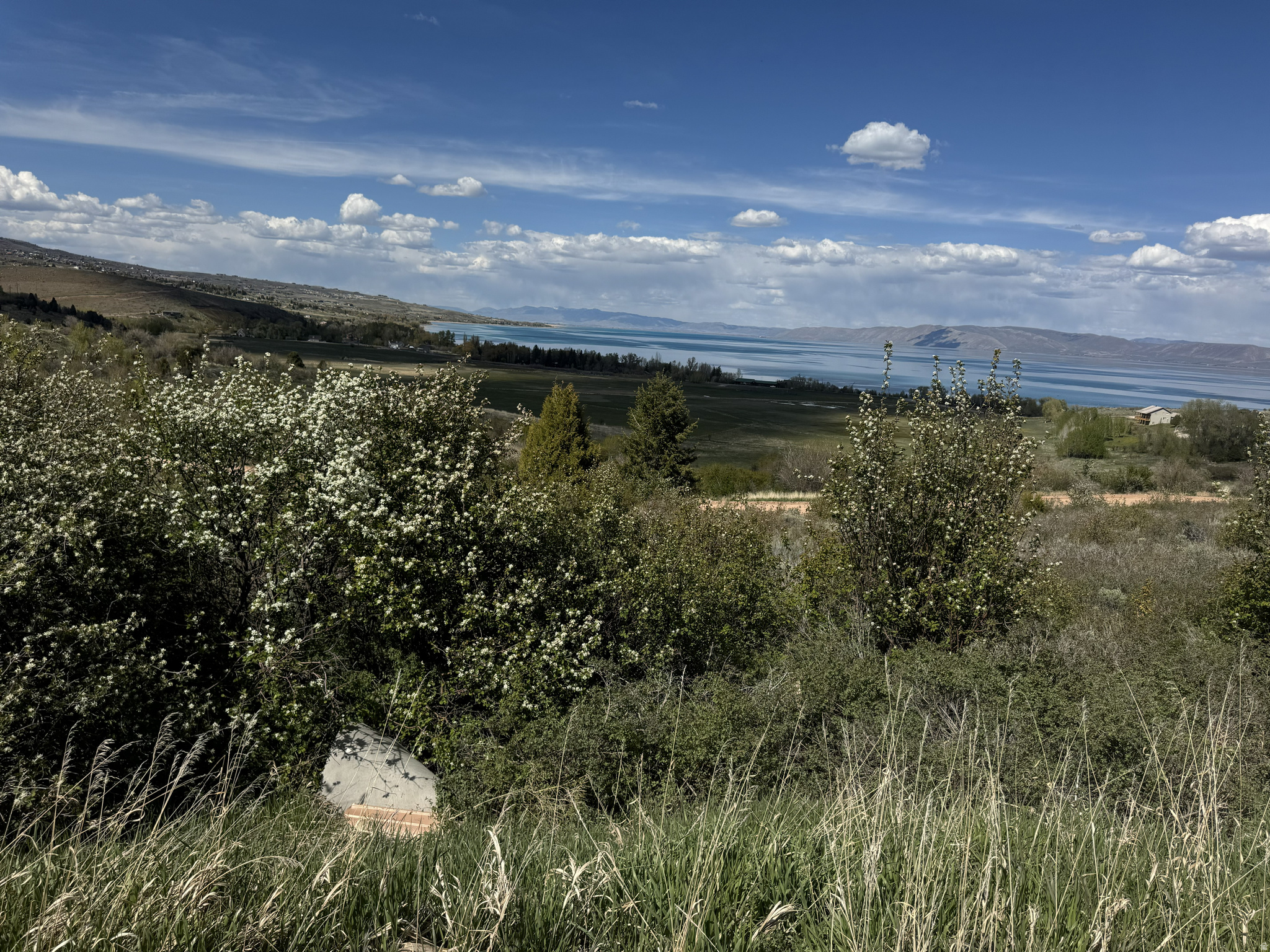SWAN CREEK VILLAGE - Land