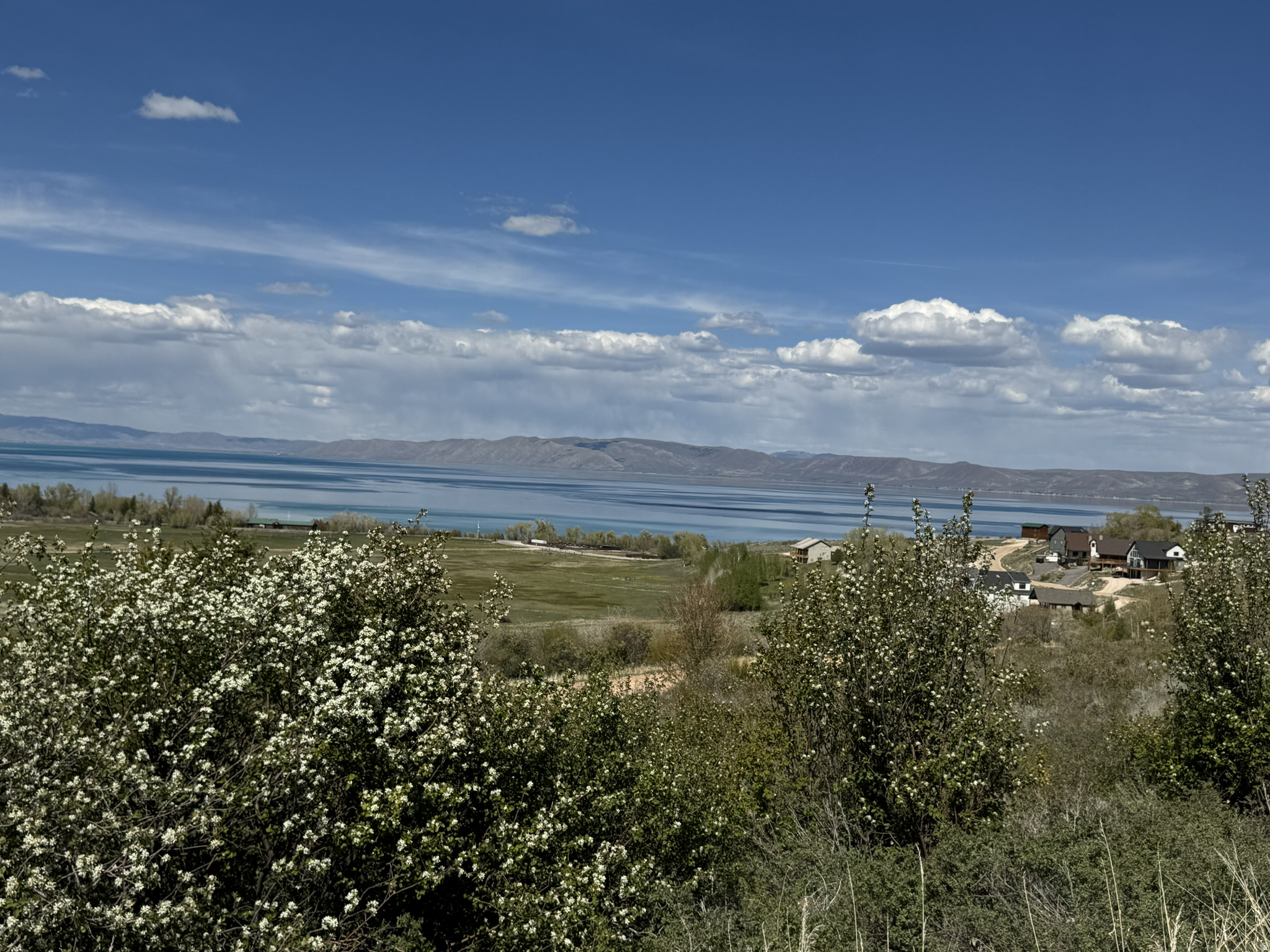 SWAN CREEK VILLAGE - Land