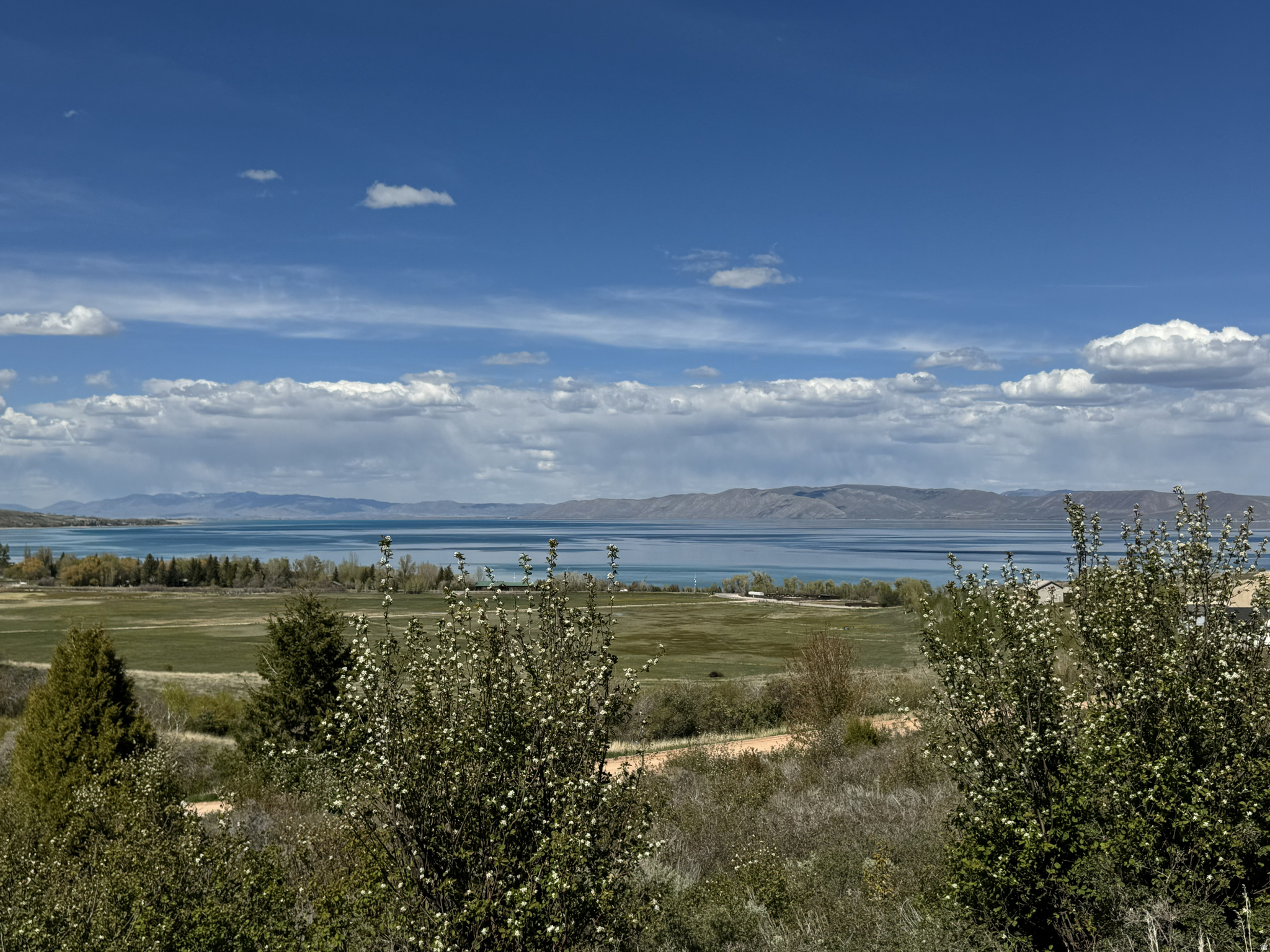 SWAN CREEK VILLAGE - Land