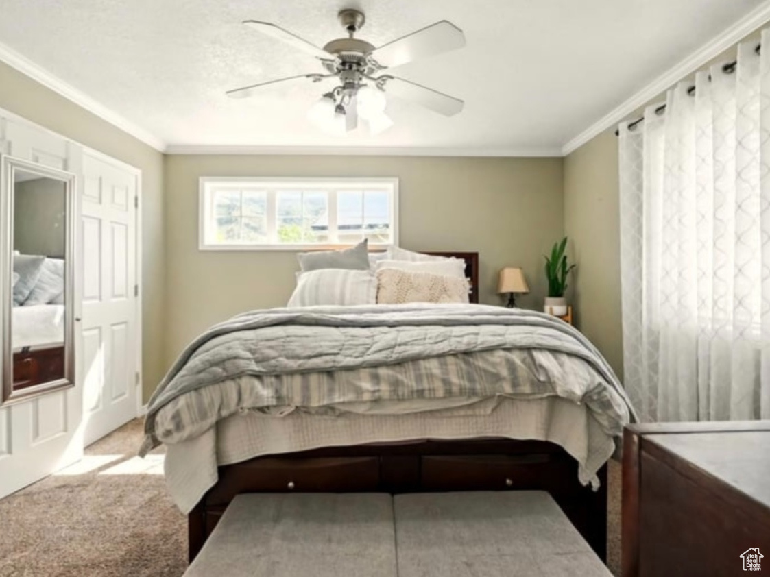 217 S 1380, Hyrum, Utah image 21
