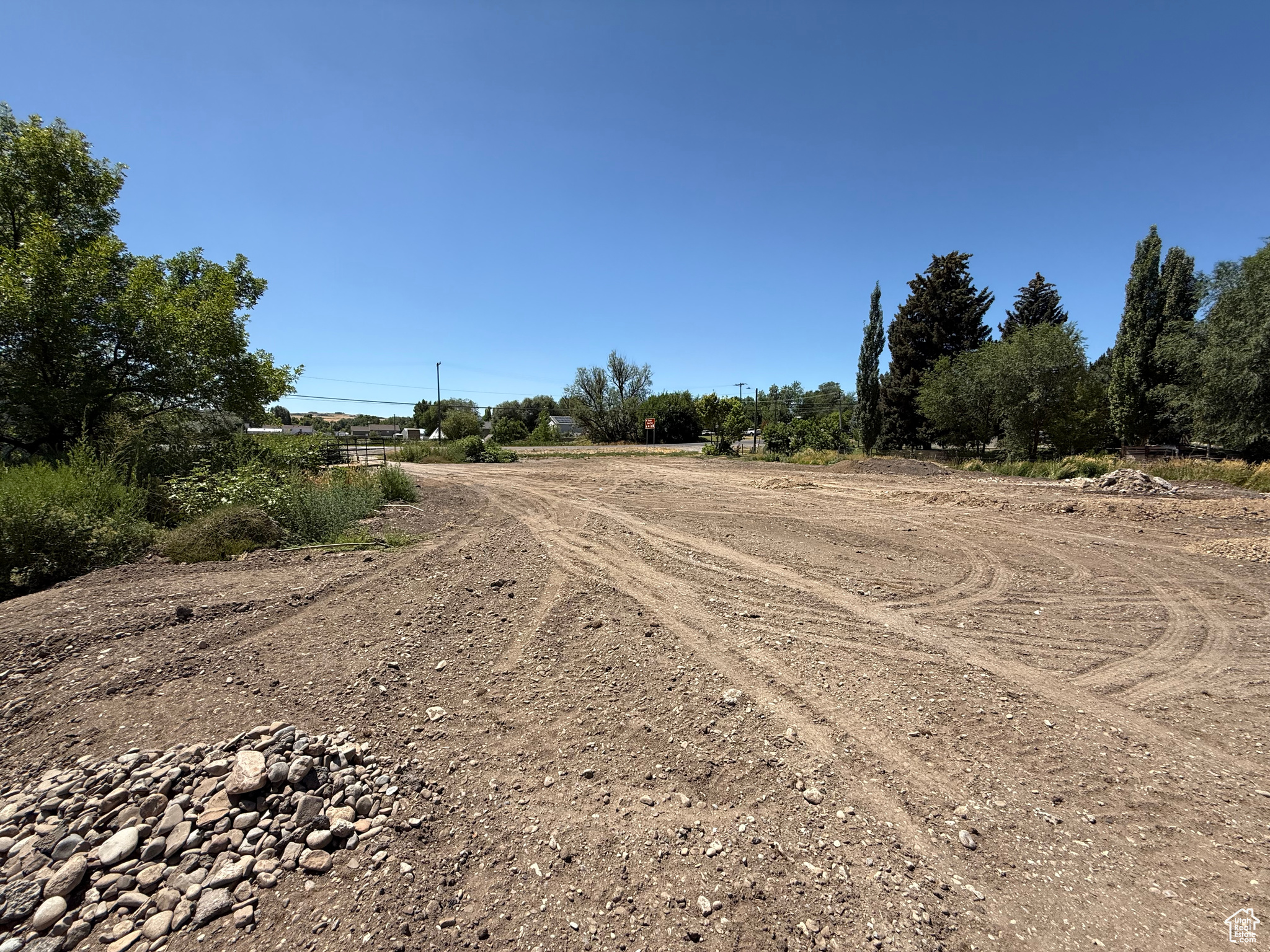 LEONEL BARRIGA MINI - Land