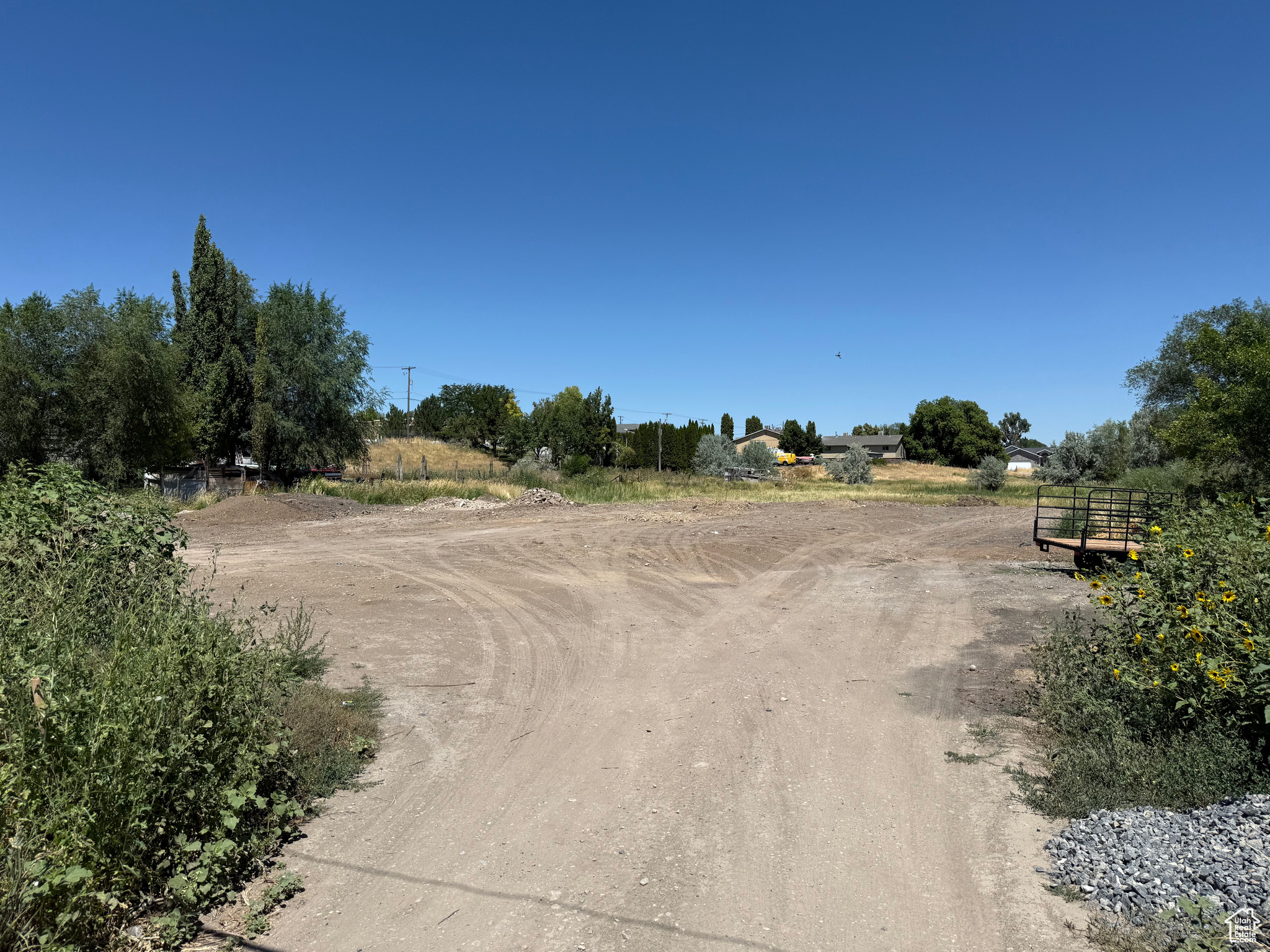 LEONEL BARRIGA MINI - Land