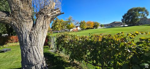 Tiny photo for 351 WASHINGTON AVE, American Fork, UT 84003 (MLS # 2119129)