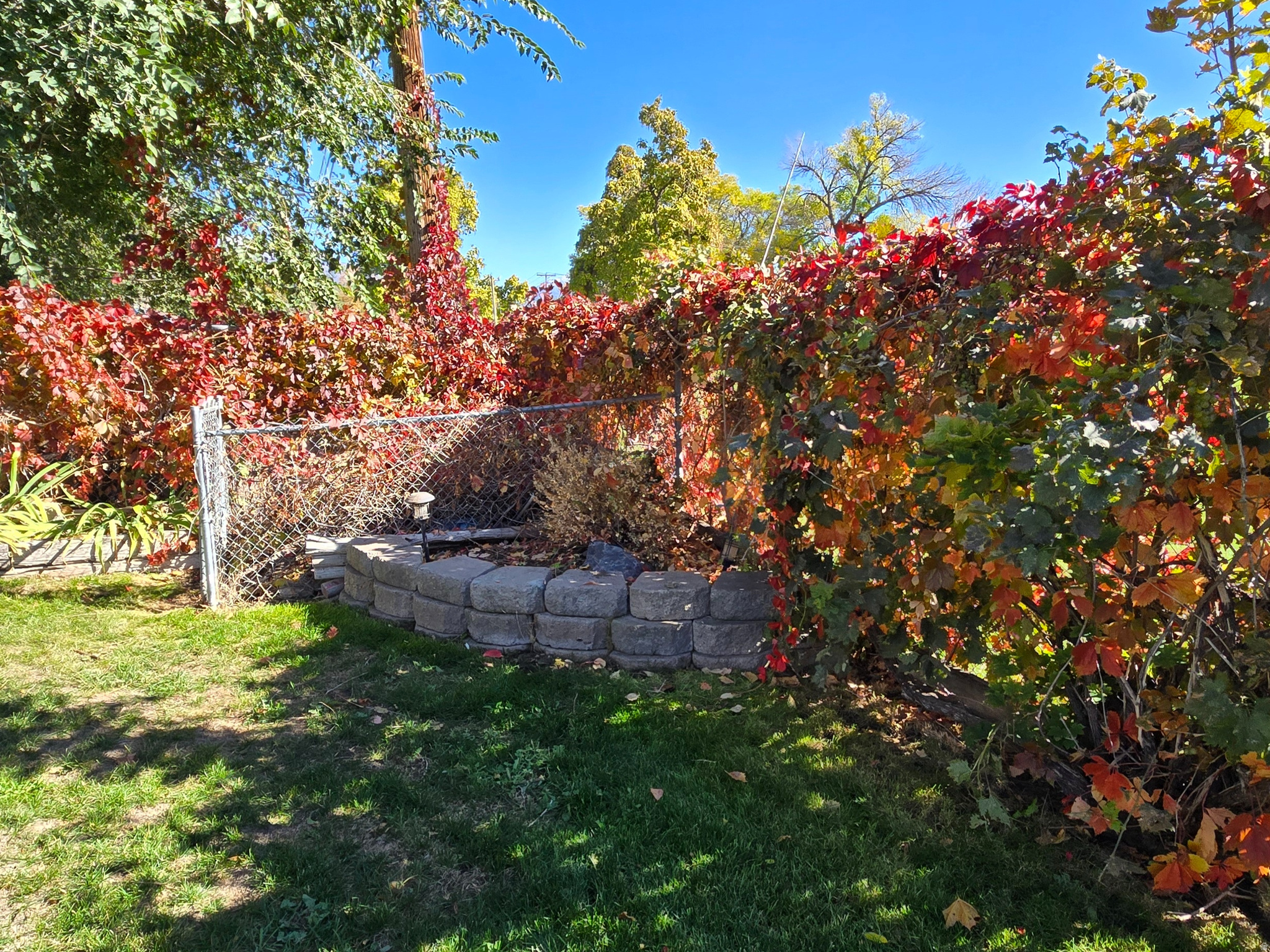 COLUMBIA VILLAGE - Residential