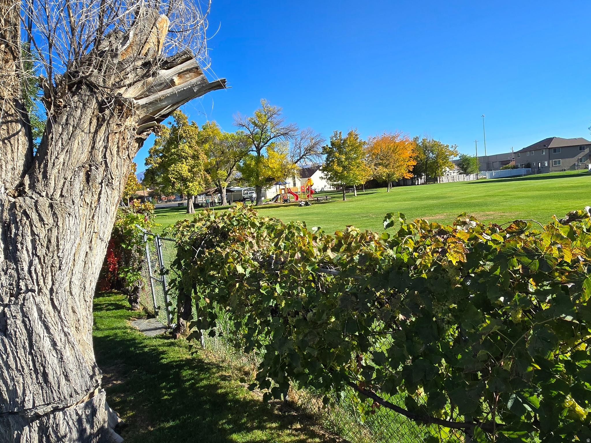 COLUMBIA VILLAGE - Residential