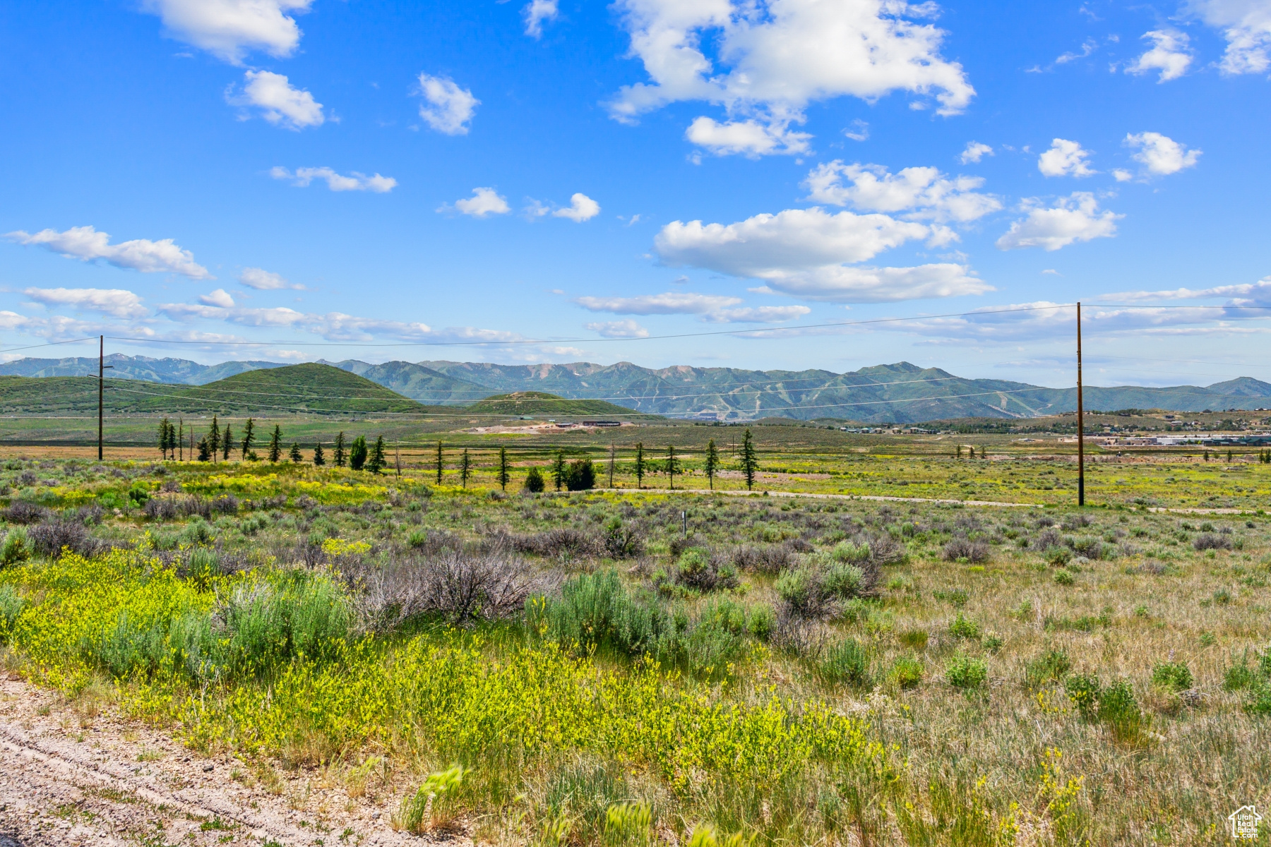 PALISADES SUBDIVISION - Land