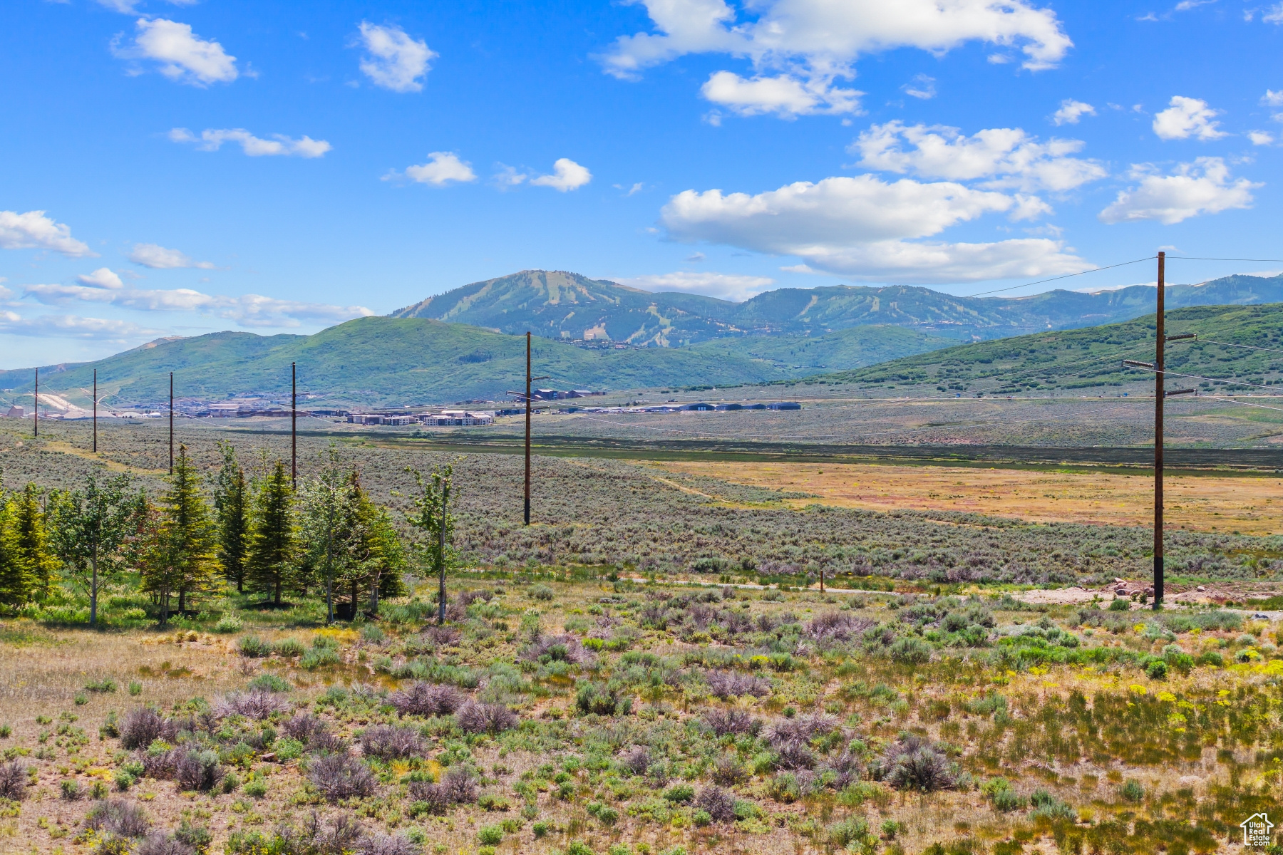 PALISADES SUBDIVISION - Land