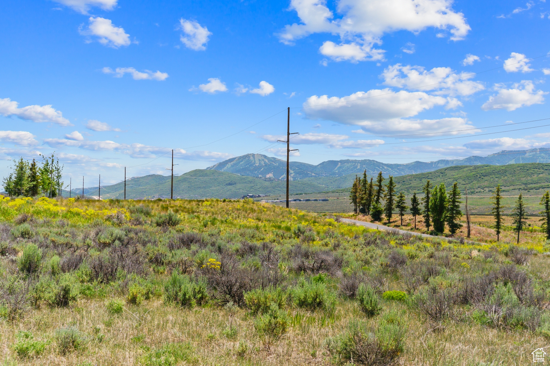 PALISADES SUBDIVISION - Land