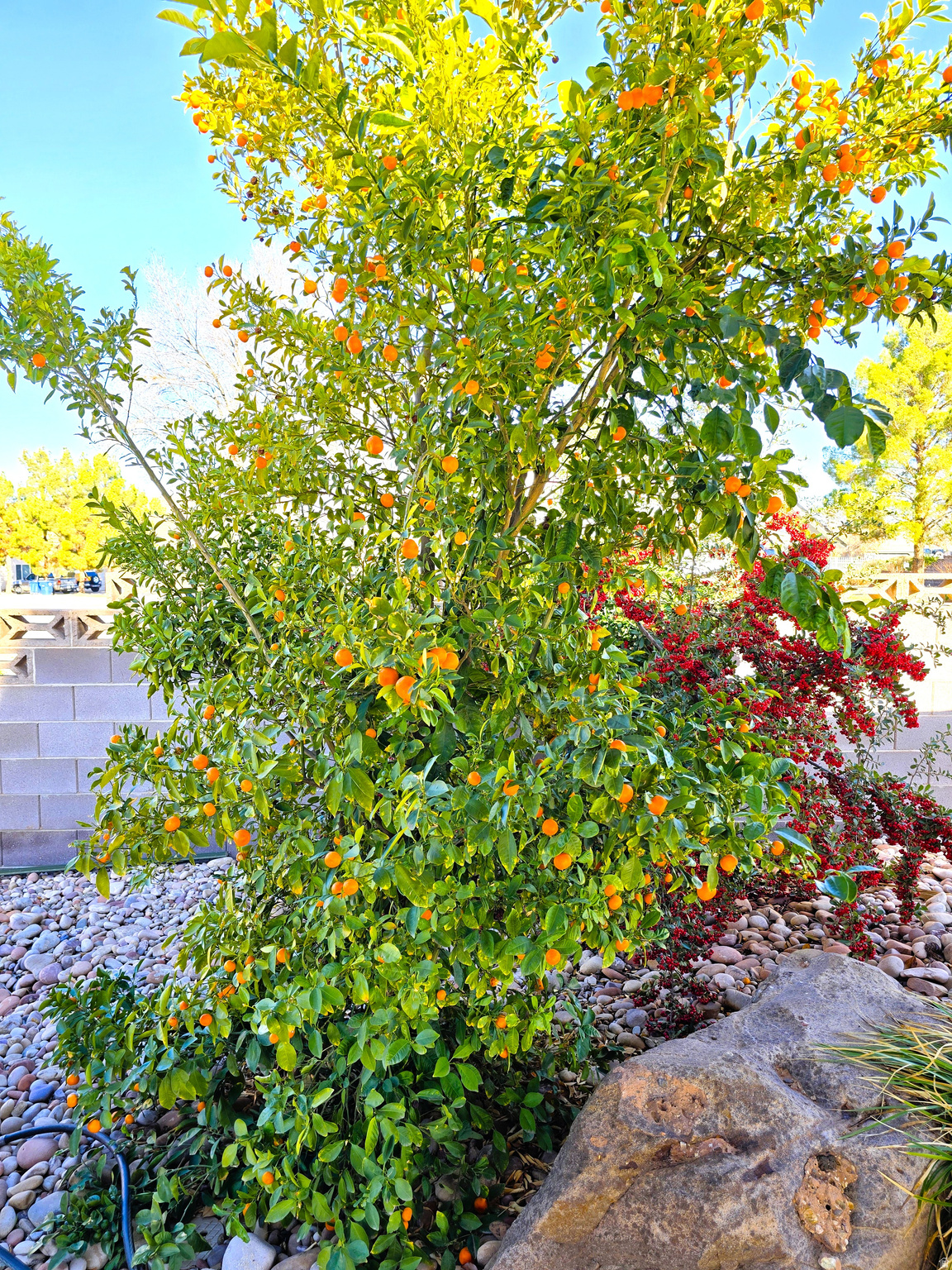 MAJESTIC VIEW - Residential