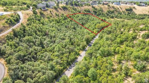 Tiny photo for Elk Ridge, UT 84651 (MLS # 2101891)