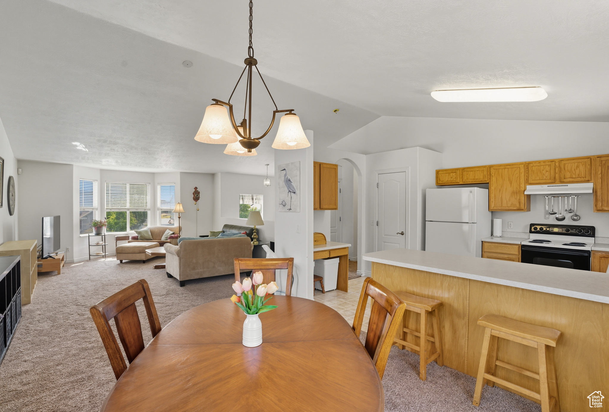 ARGYLE ACRES - Residential
