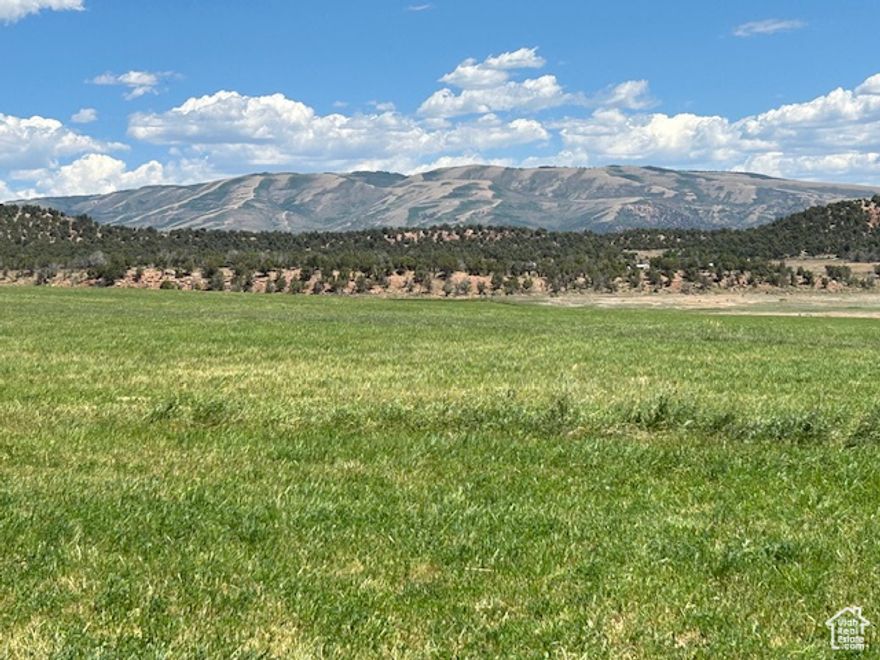 120 acre irrigated farm in fruitland. Theres 60 irrigated acres under a pivot, with the rest dry pasture. Full water rights for the 60 acres. Currently alfalfa/grass mix. Farm has a large 70x180 hay/equipment barn. County road access, a culinary water hookup and power is available. Theres a few corrals for stock. This farm is 1  hours from the Wasatch front in the small community of Fruitland. This farm is ready your dream home. Equipment excluded.