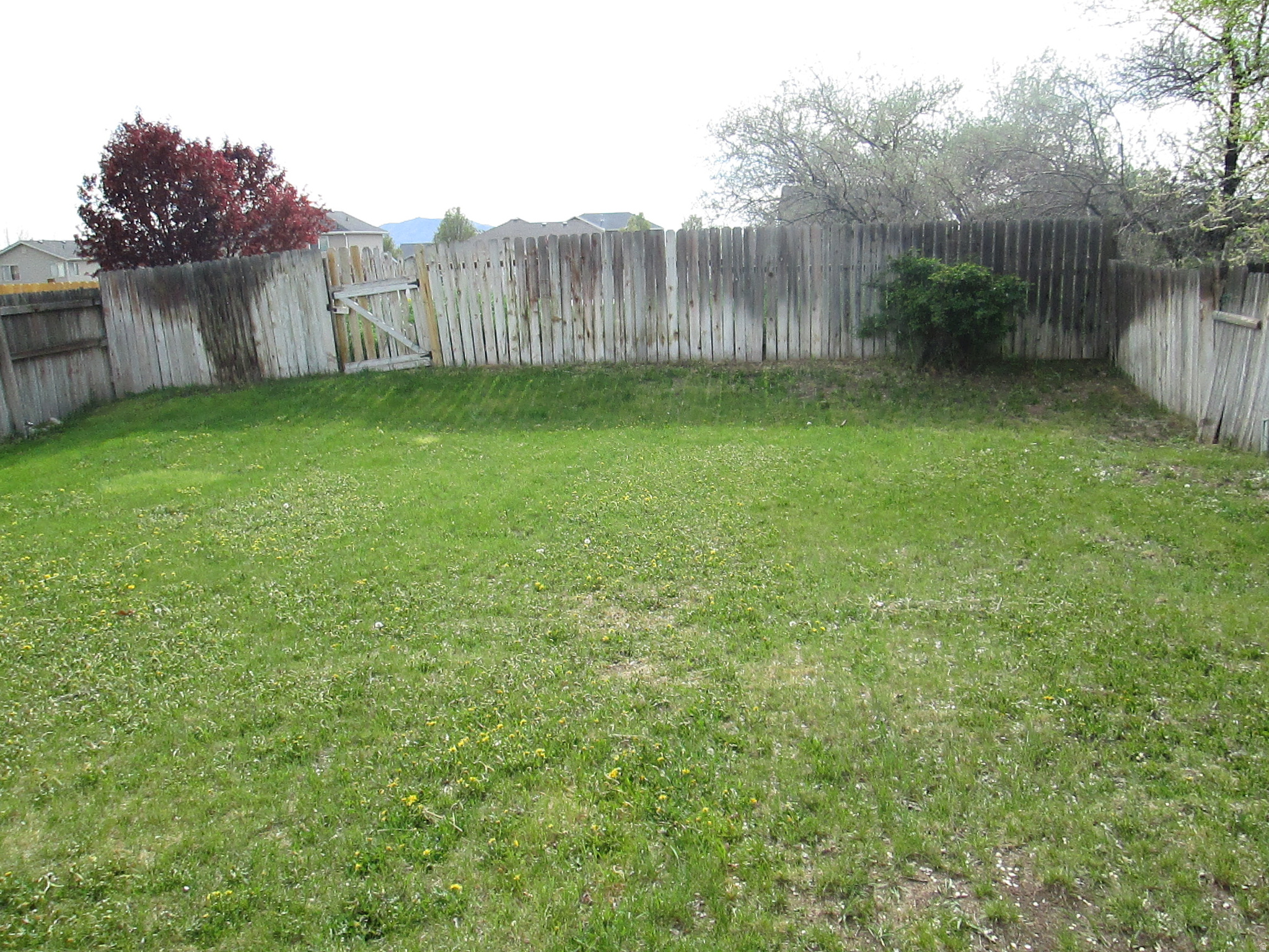 YORKSHIRE PLACE - Residential Income