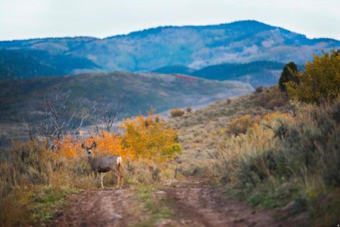Tiny photo for 7394 E MOON DR #E.313, Heber City, UT 84032 (MLS # 2152121)