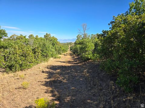 Tiny photo for 53 S HIGH SIERRA DR, Elk Ridge, UT 84651 (MLS # 2012781)