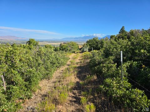 Tiny photo for 53 S HIGH SIERRA DR, Elk Ridge, UT 84651 (MLS # 2012781)