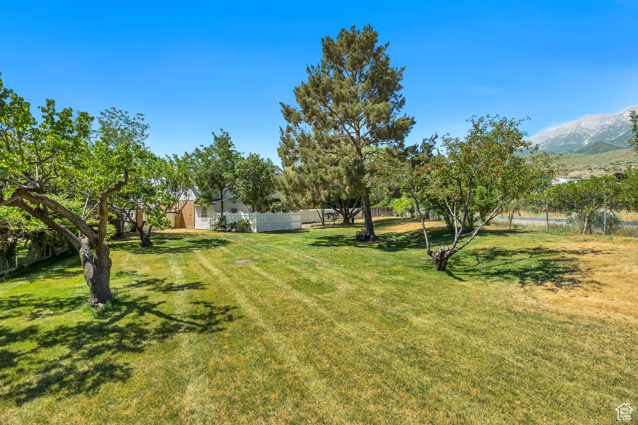 ELYSIAN FIELDS - Residential