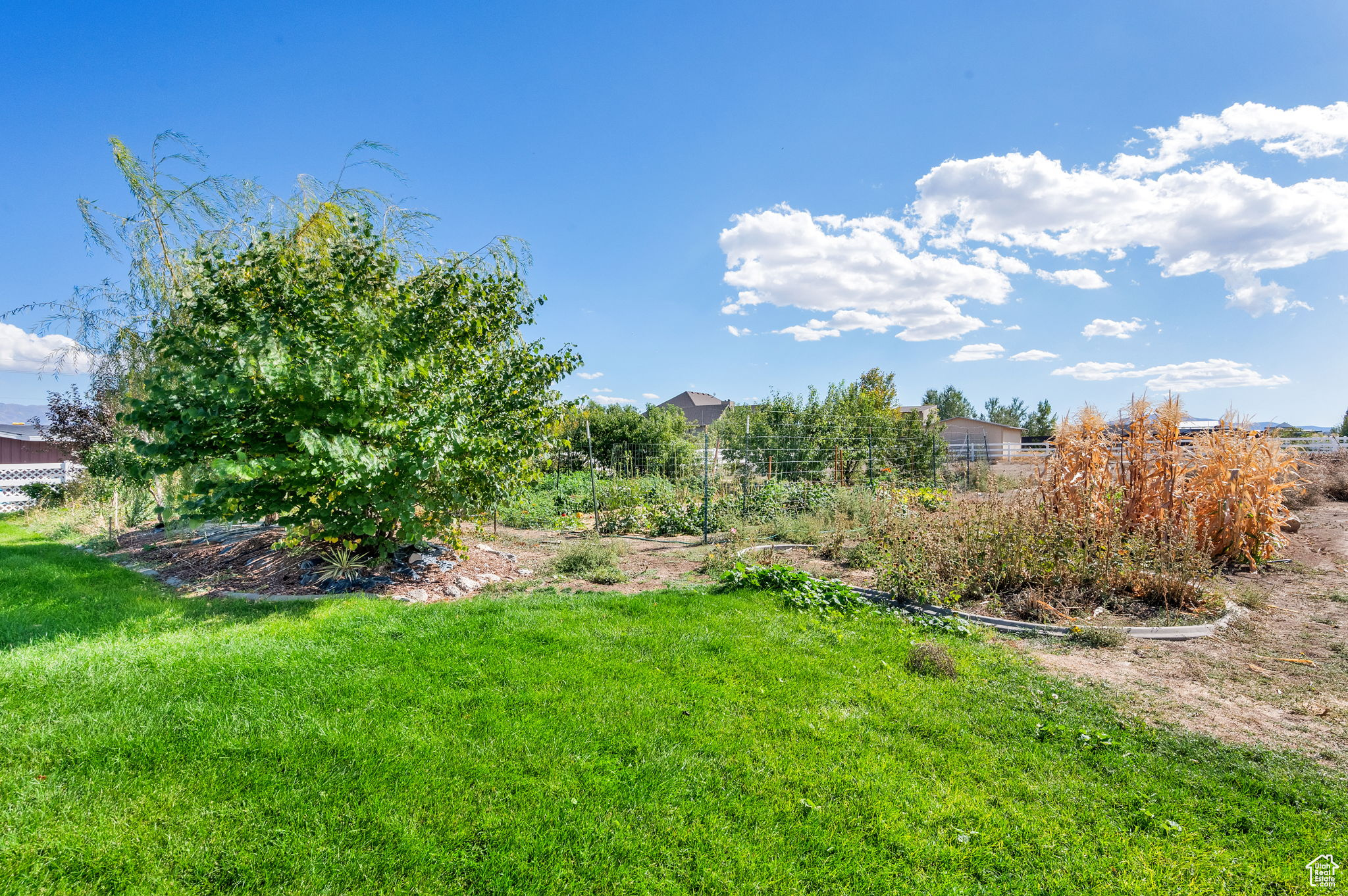BLAKE MOUNTAIN VIEW EST - Residential
