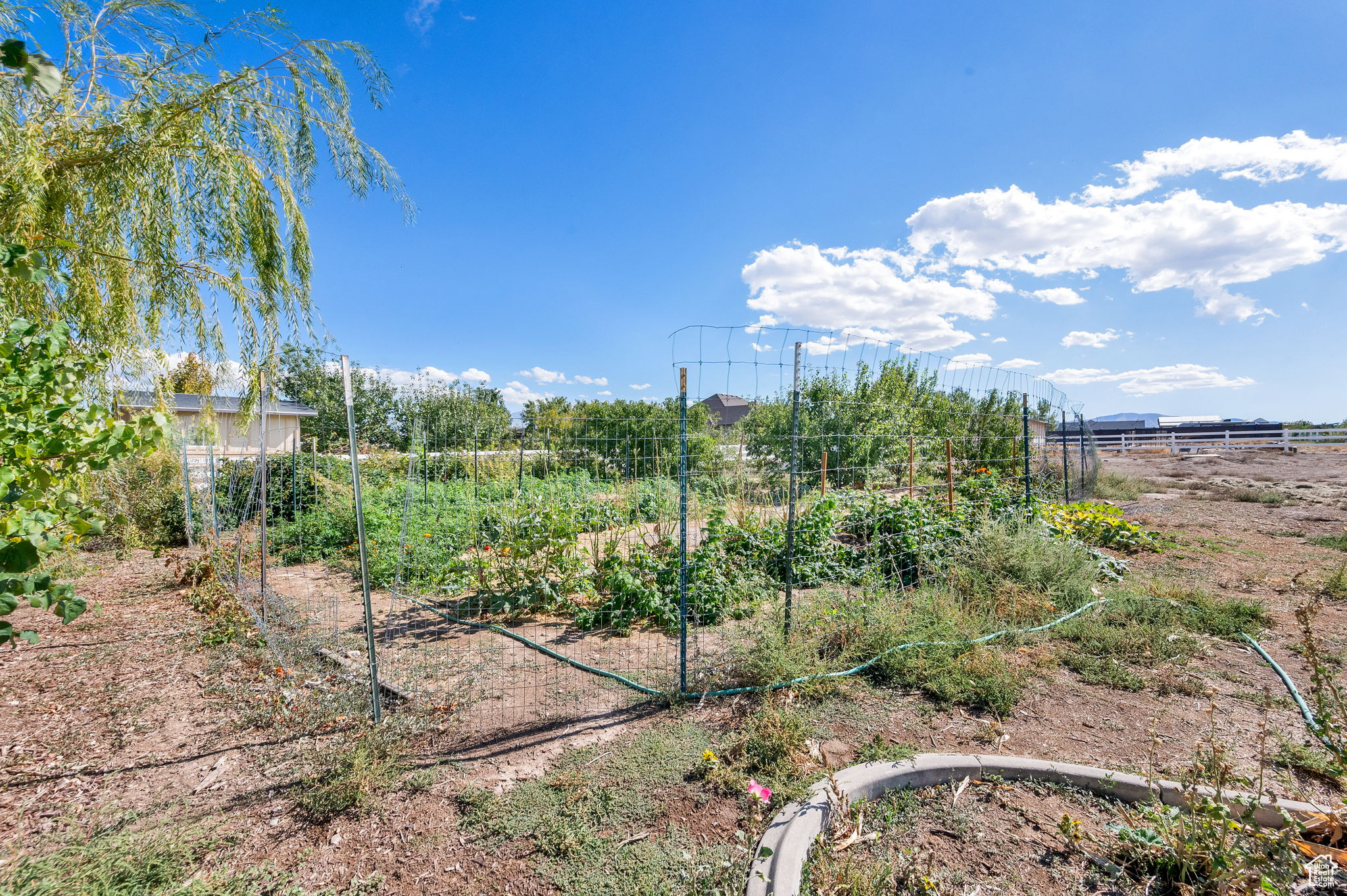 BLAKE MOUNTAIN VIEW EST - Residential