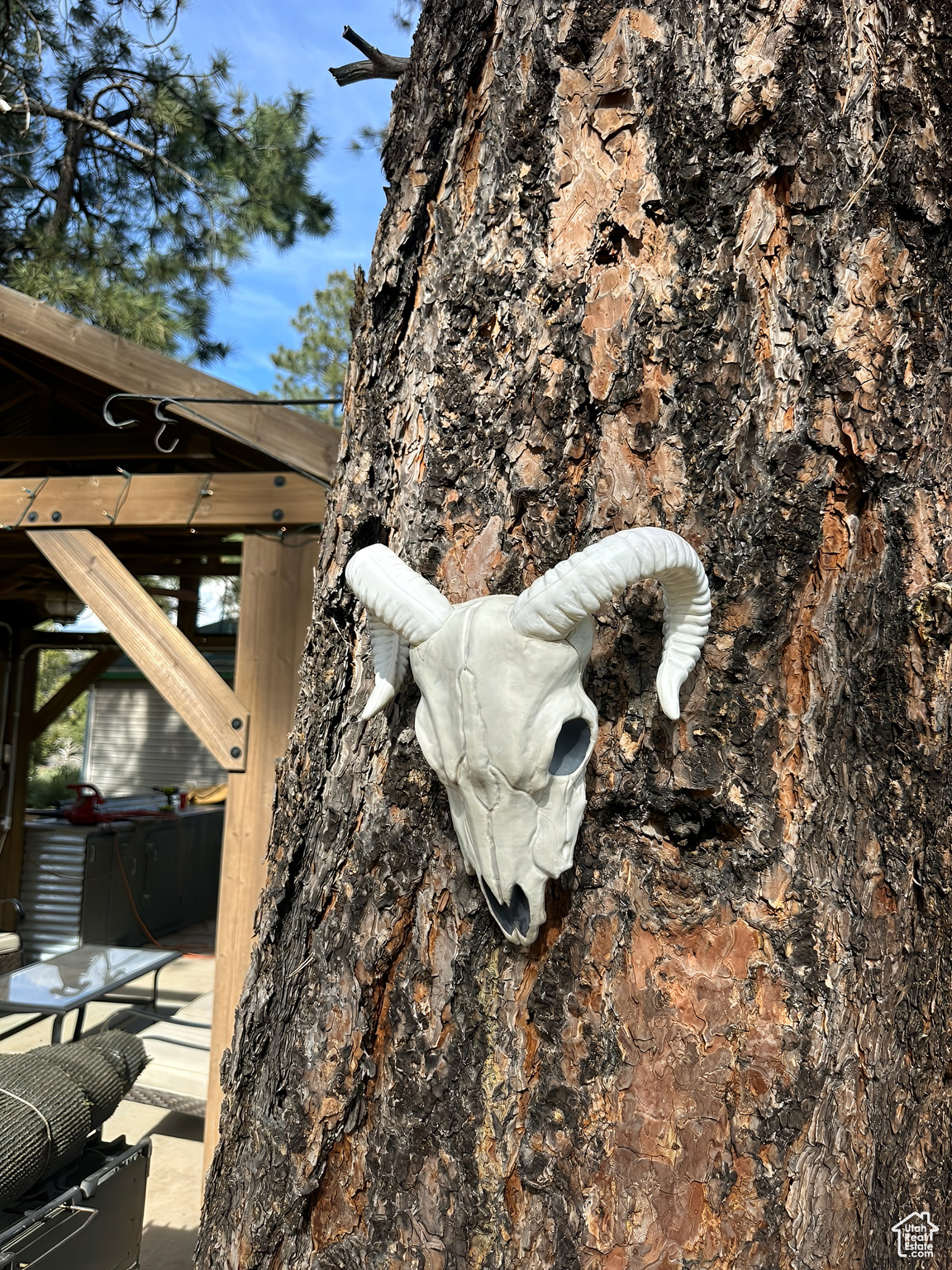 ALL OF LOT 24 AND 25 BLOCK D AMEN PLAT OF LITTLE P - Residential