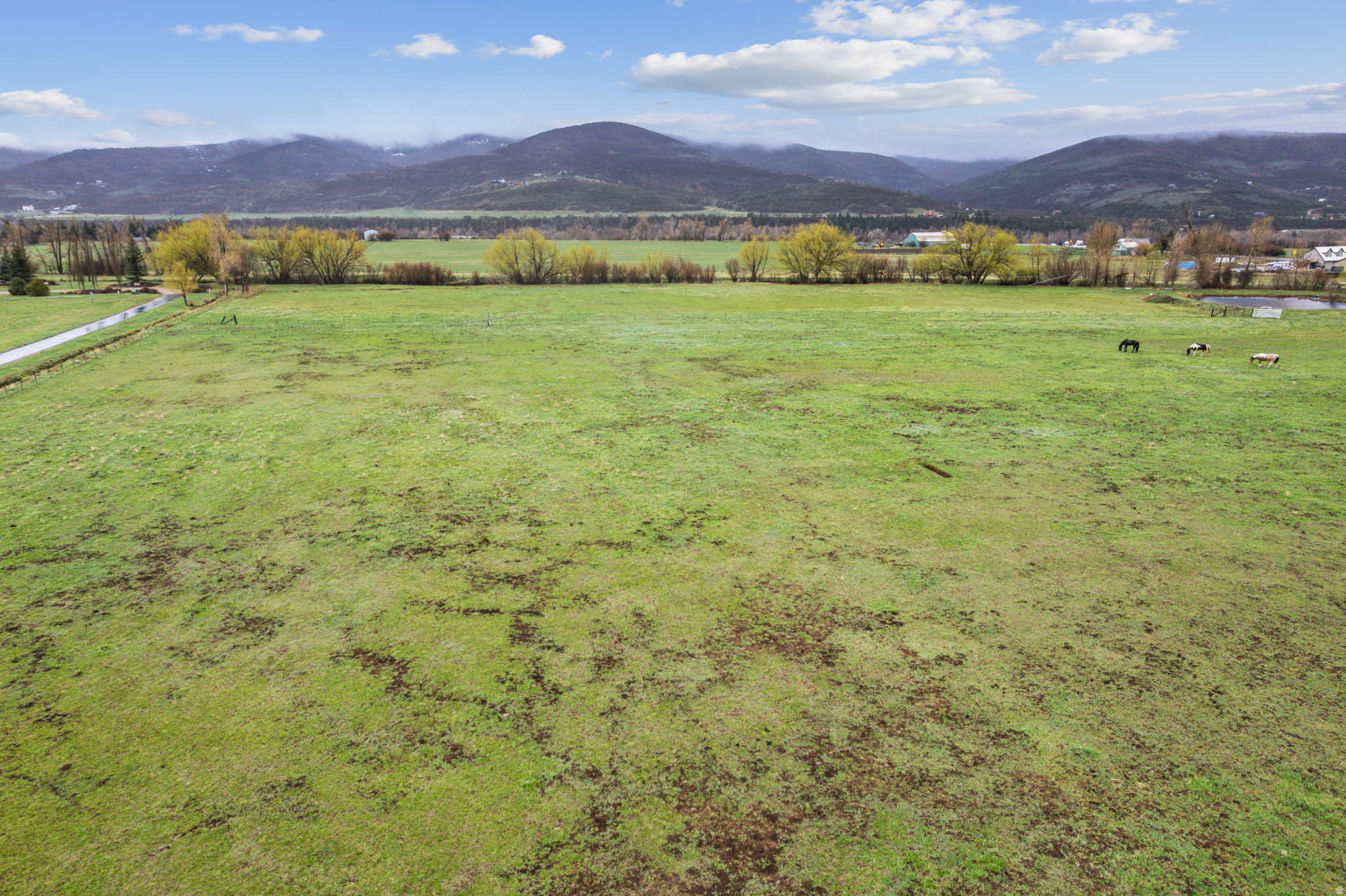 ELK MEADOWS SUBDIVISION AMENDED - Land