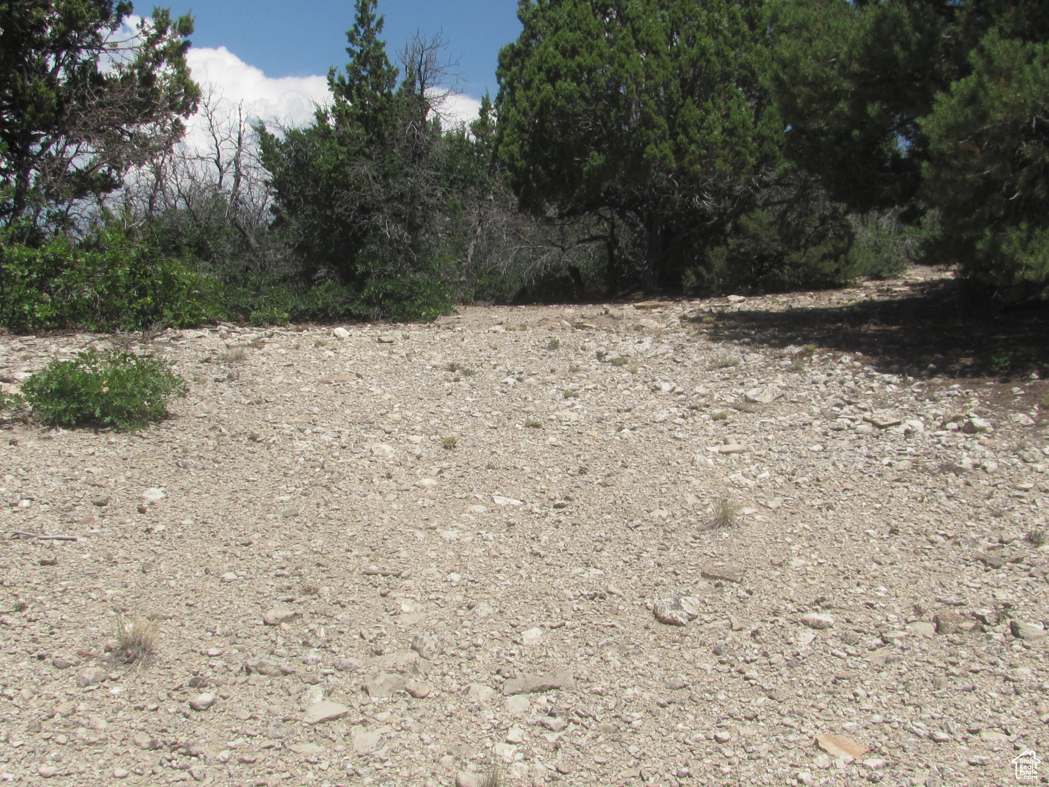 HORSESHOE MT RANCH - Land