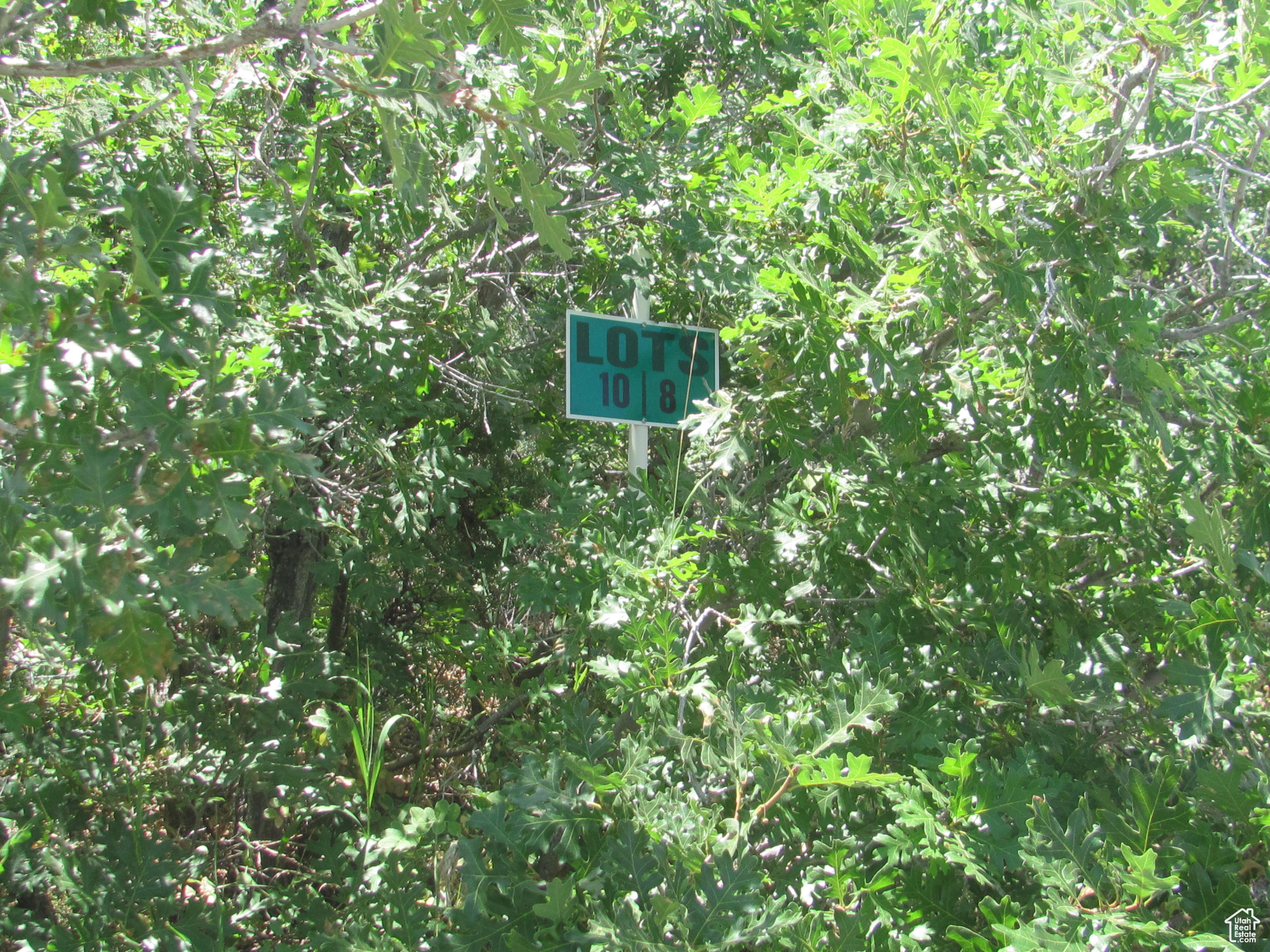 HORSESHOE MT RANCH - Land