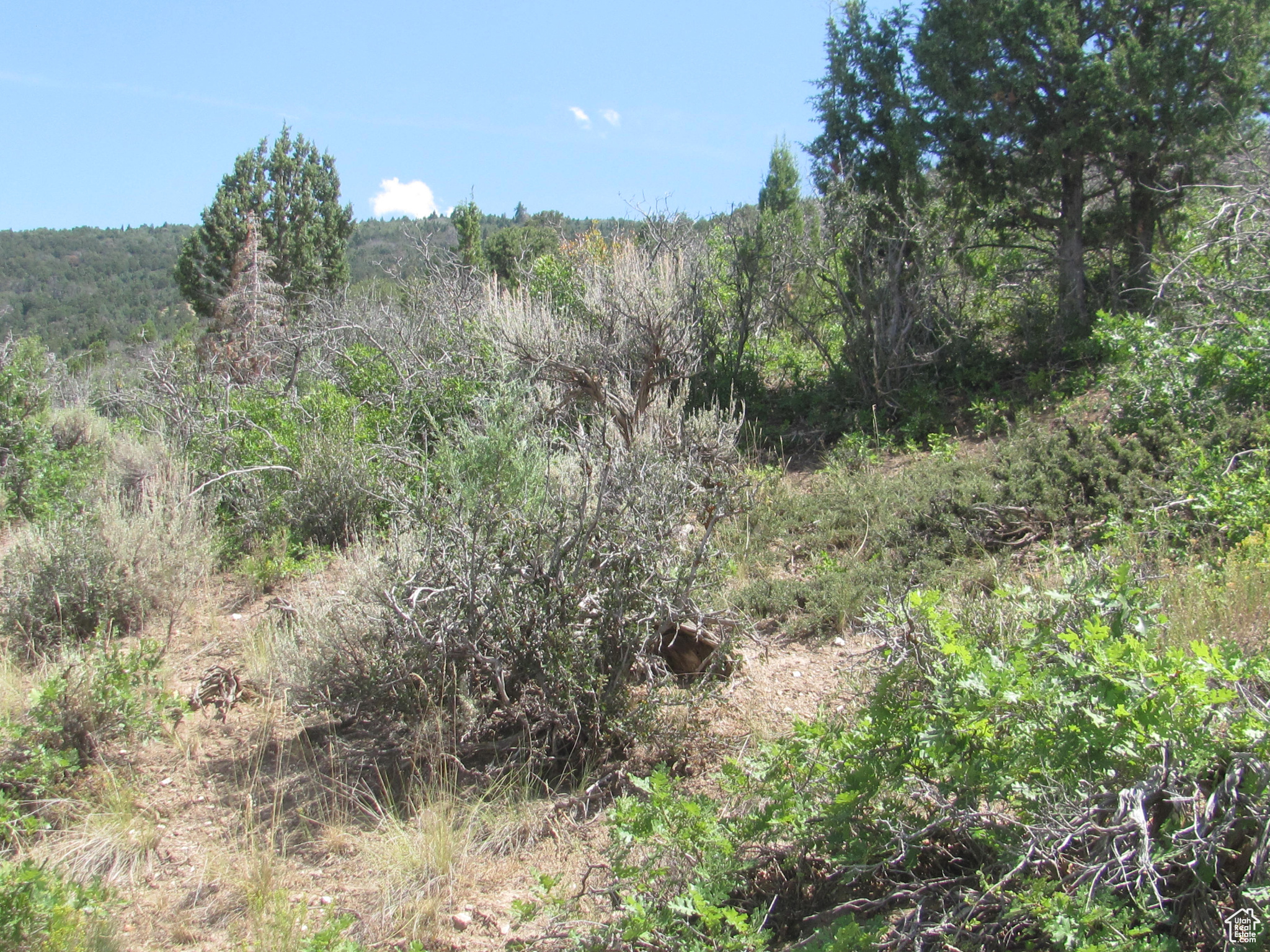 HORSESHOE MT RANCH - Land